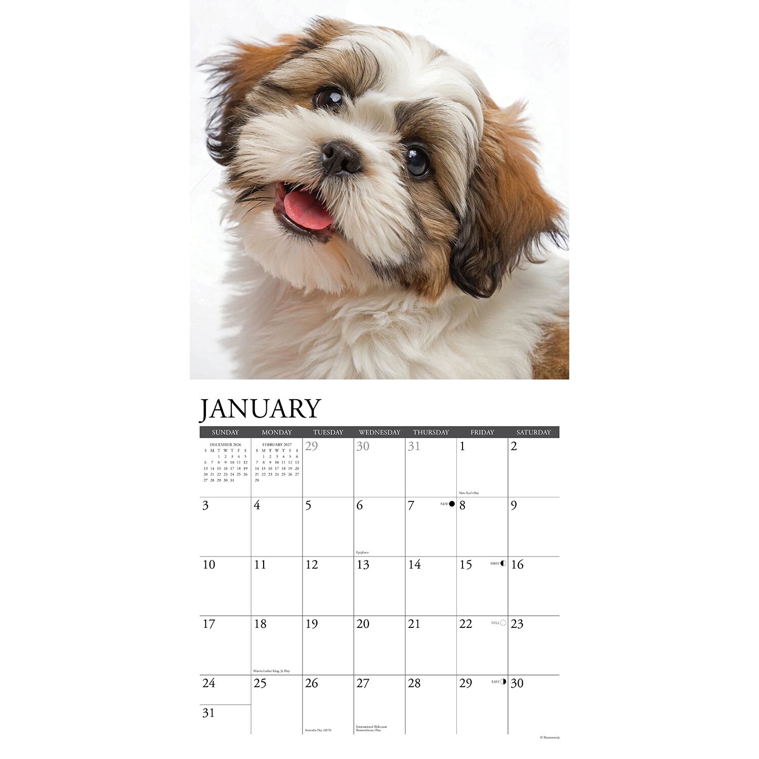 Willow Creek Press Just Shih Tzu Puppies 2027 Wall Calendar