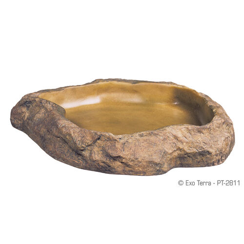 Water Dish For Reptiles
