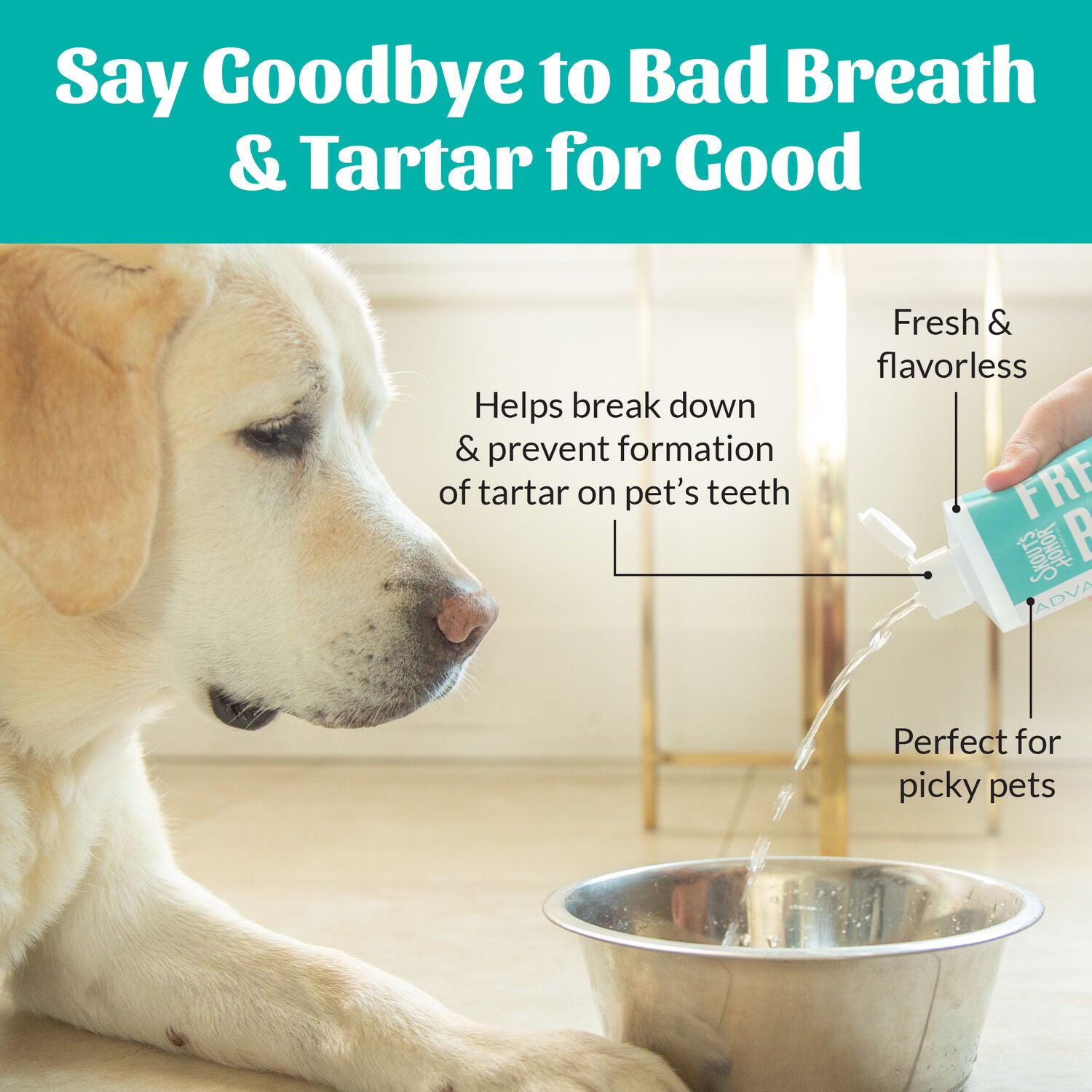 Skout's Honor Fresher Breath Oral Care Water Additive For Dogs & Cats, Fresh & Flavorless, 32-Oz