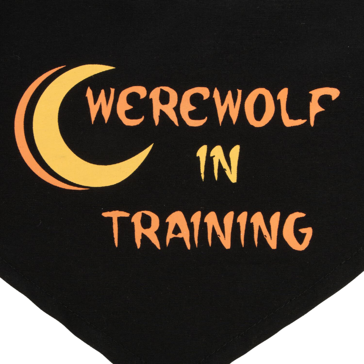Aristopet Werewolf In Training Halloween Dog Bandana, Black, Medium/Large