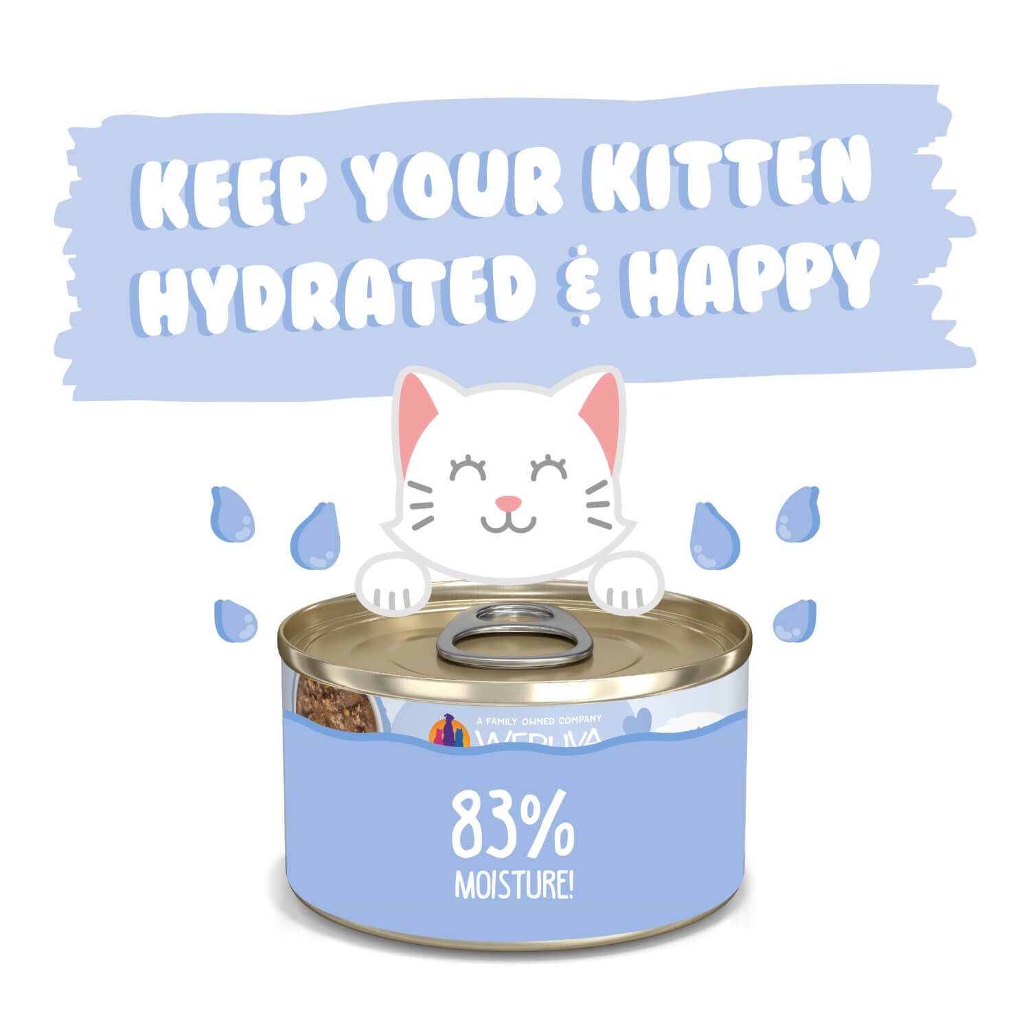 Weruva Kitten Grain Free Chicken & Pumpkin Formula In Gravy Wet Cat Food, 3-Oz Can