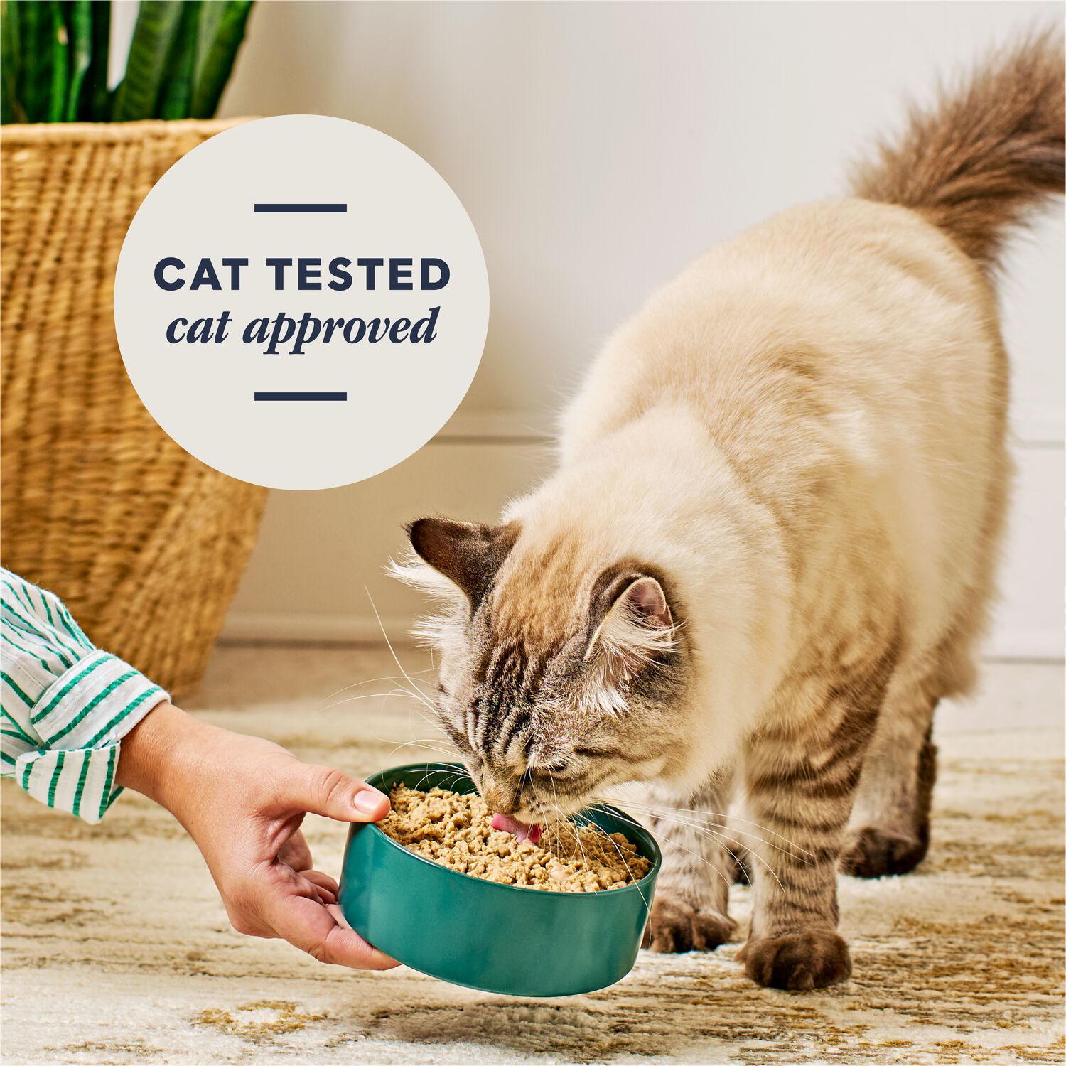 Instinct Freshdried Pates Grain-Free Freeze-Dried Raw Adult Cat Food, Cage-Free Chicken Entr&eacute;e, 13-Oz Bag