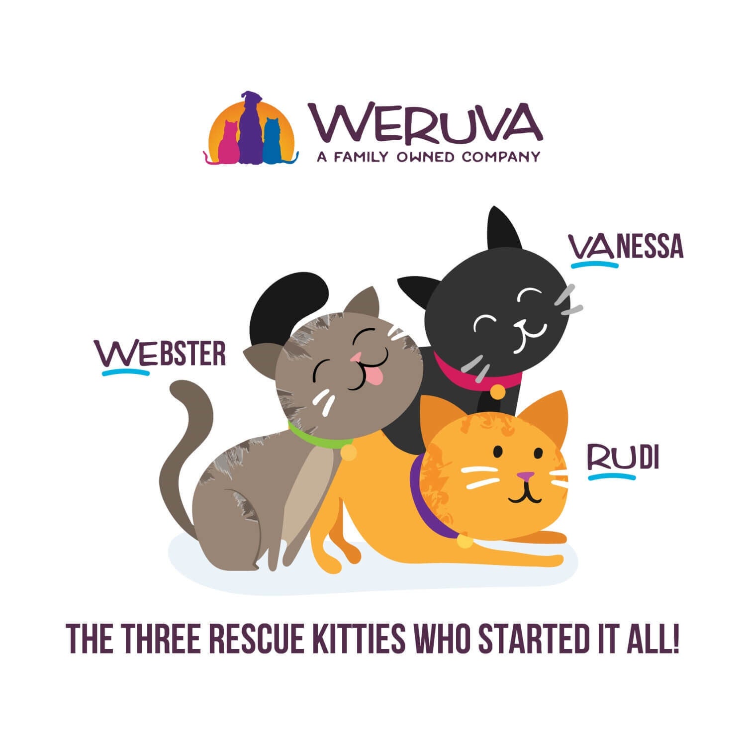 Weruva Kitten Grain Free Chicken & Tuna Formula In Gravy Wet Cat Food, 3-Oz Can
