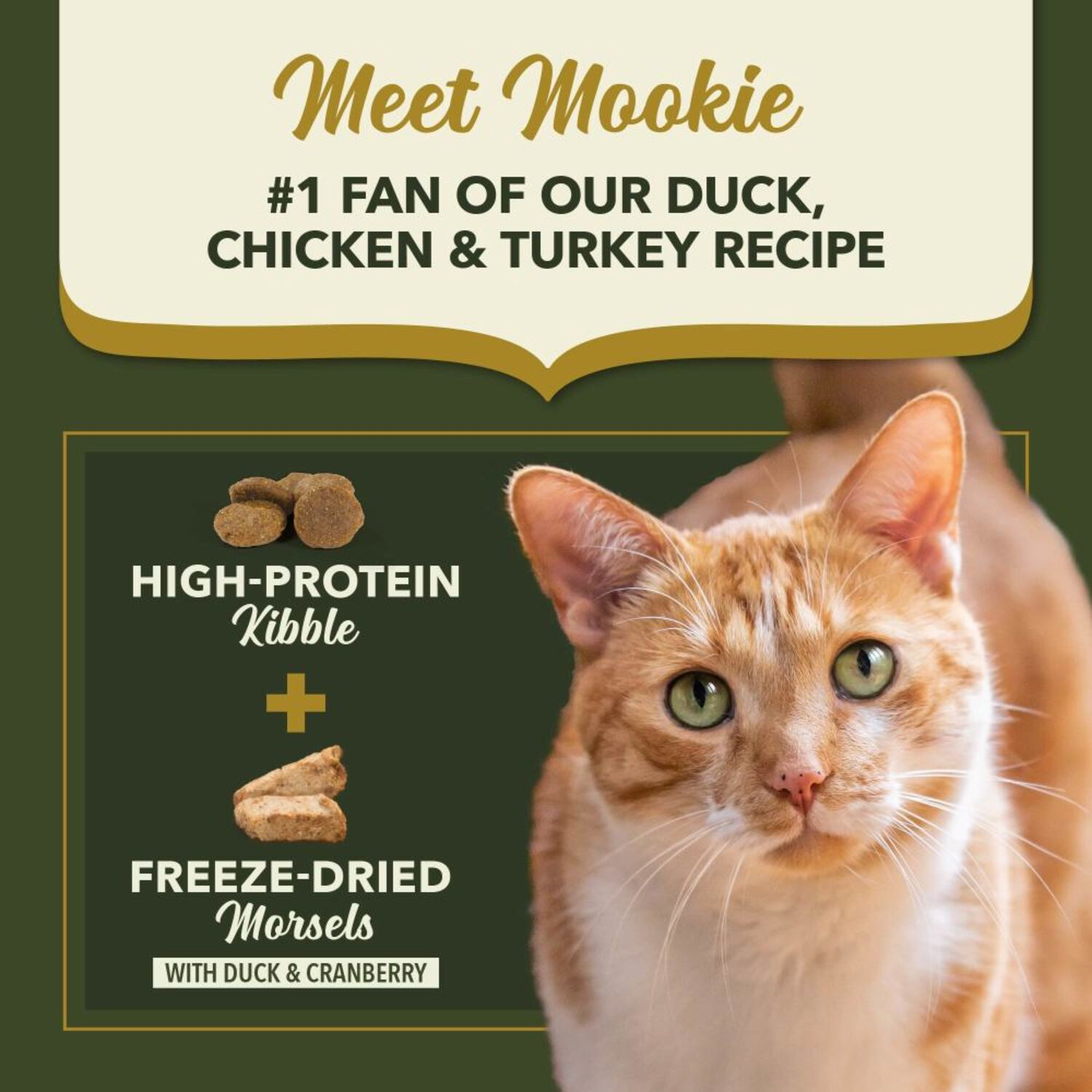 Acana Market Medley Dry Cat Food, Duck, Chicken & Turkey Recipe, High-Protein Kibble + Freeze-Dried Morsels,  3.5-Lb Bag