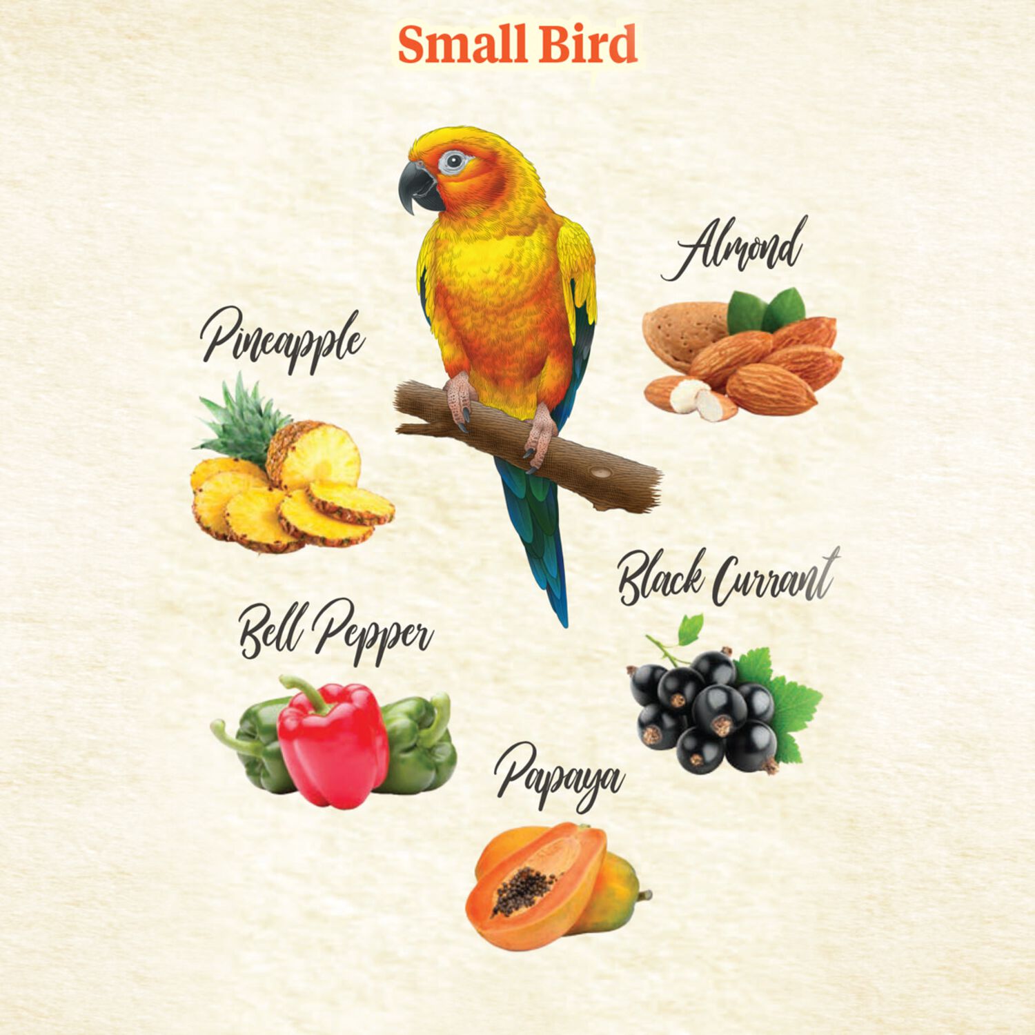 Kaytee Food From The Wild Limited Ingredient Natural Snack Small Bird Treats, 3-Oz