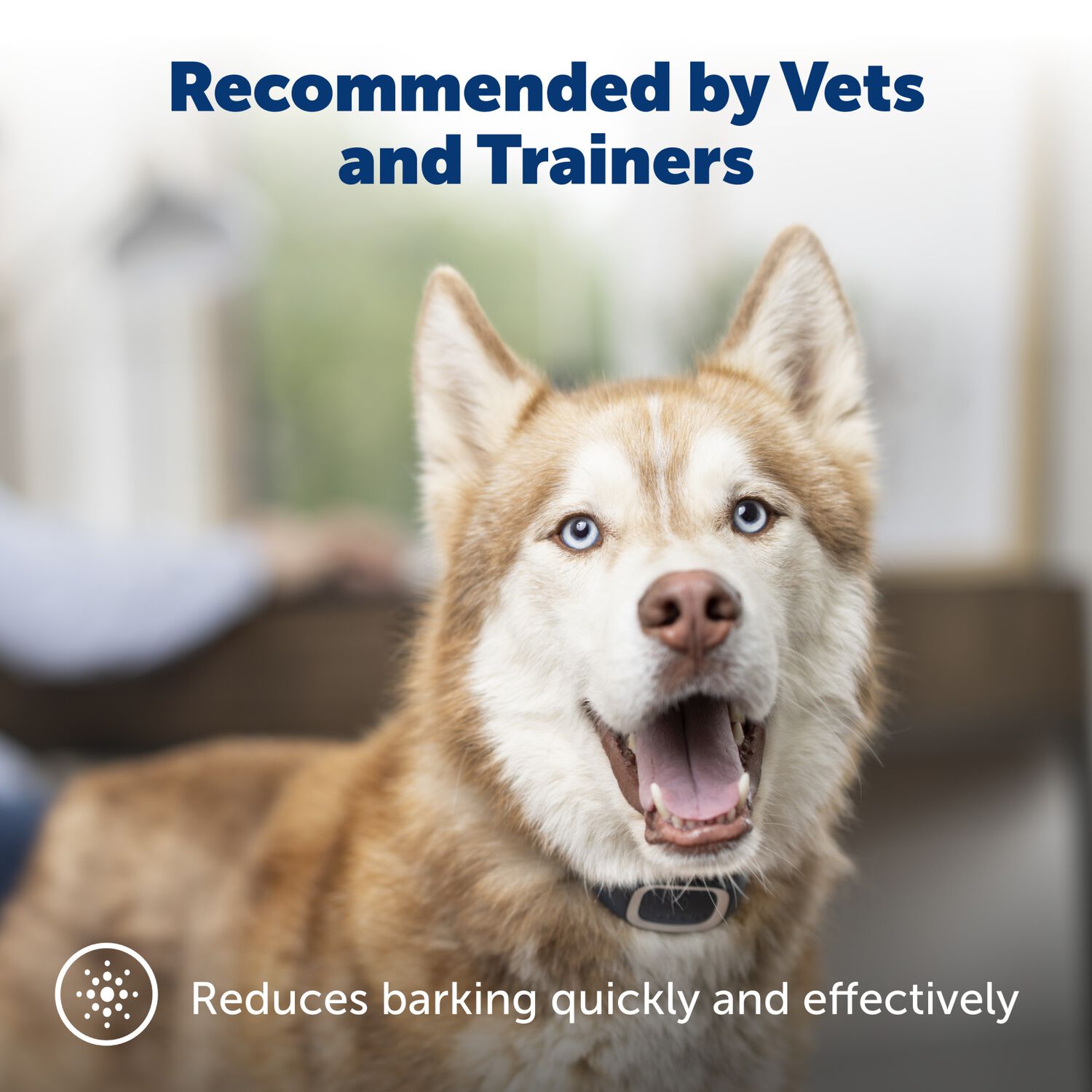 Petsafe Basic Waterproof Bark Control Training Collar For Dogs, 8+ Lbs