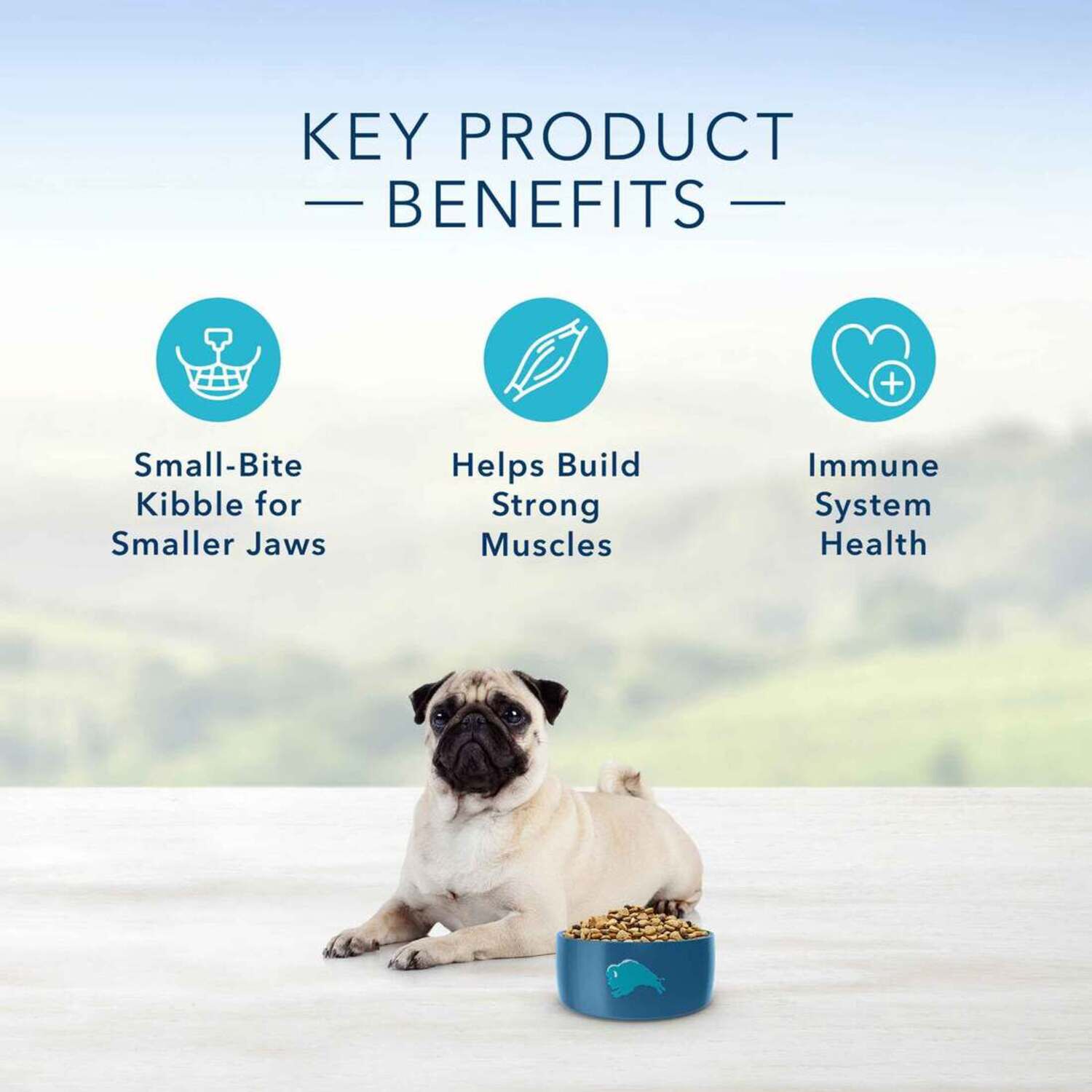 Blue Buffalo Life Protection Formula Natural Adult Small Bite Dry Dog Food, Chicken And Brown Rice, 30-Lb