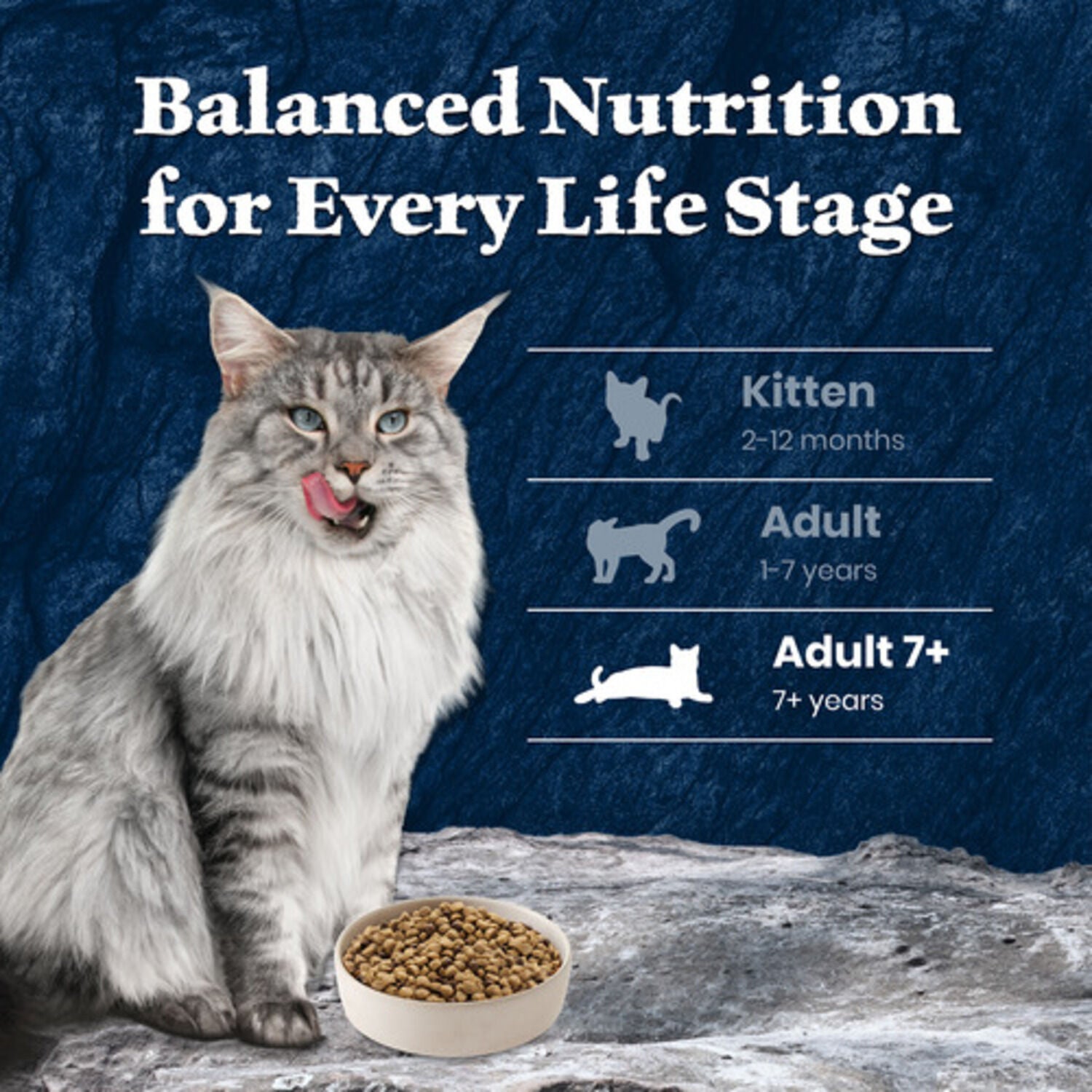 Blue Buffalo Wilderness Mature High-Protein & Grain-Free Salmon Recipe Dry Cat Food, 5-Lb Bag