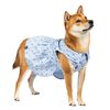 Gap Blue Paw Print Collared Dog Dress
