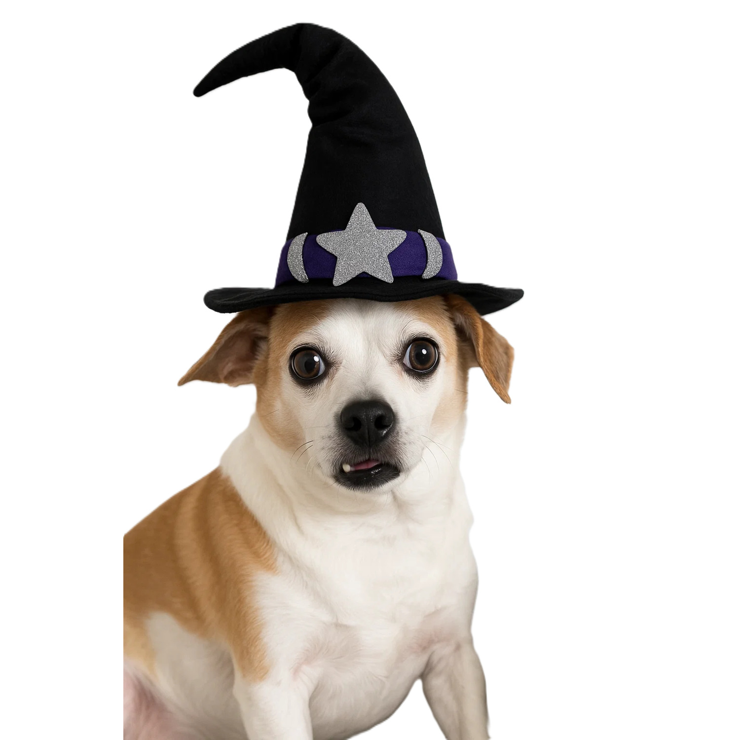 Simply Dog Purple Moon And Stars Witch Hat Dog Costume, Medium/Large