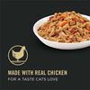 White Meat Chicken & Vegetable Entree In Gravy Cat Food thumbnail number 14