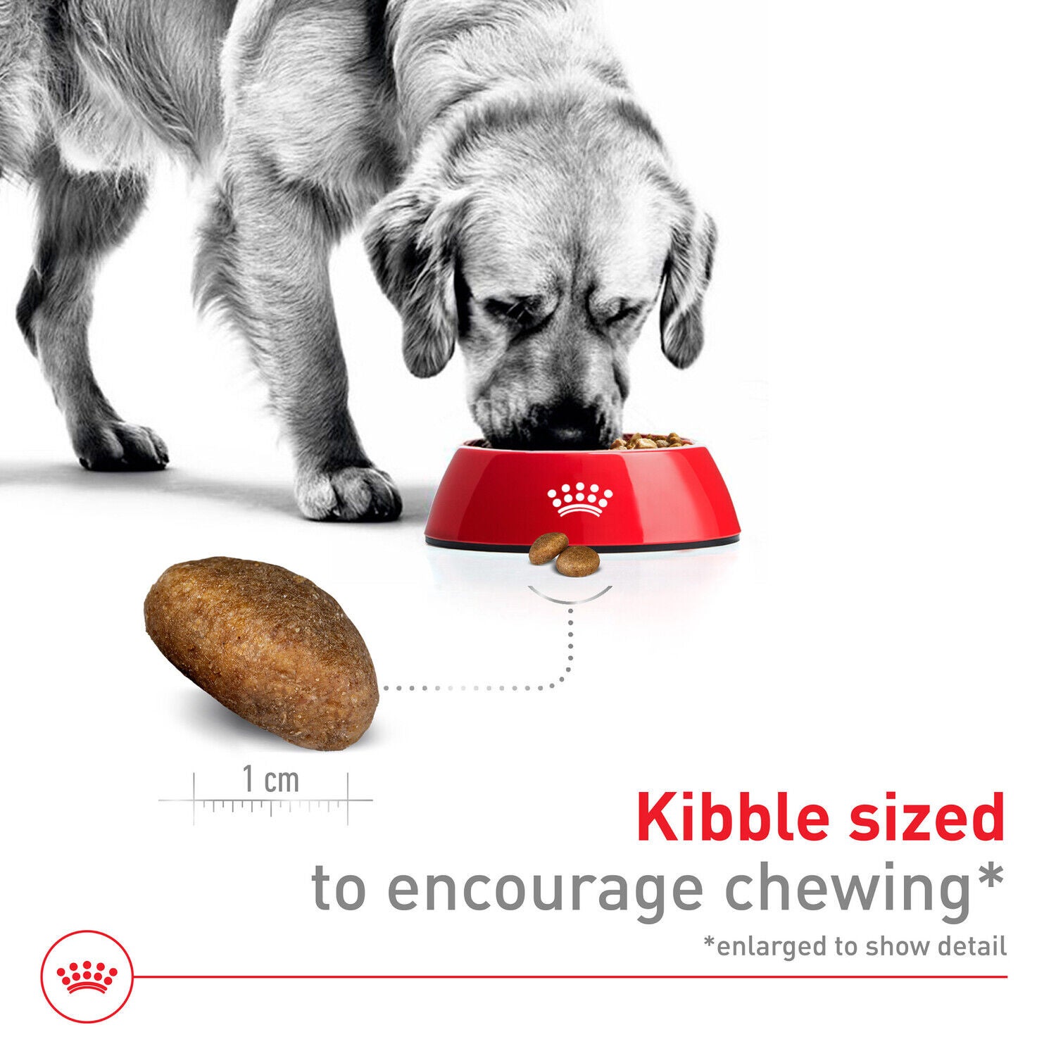 Royal Canin Size Health Nutrition Large Adult Dry Dog Food, 30Lb