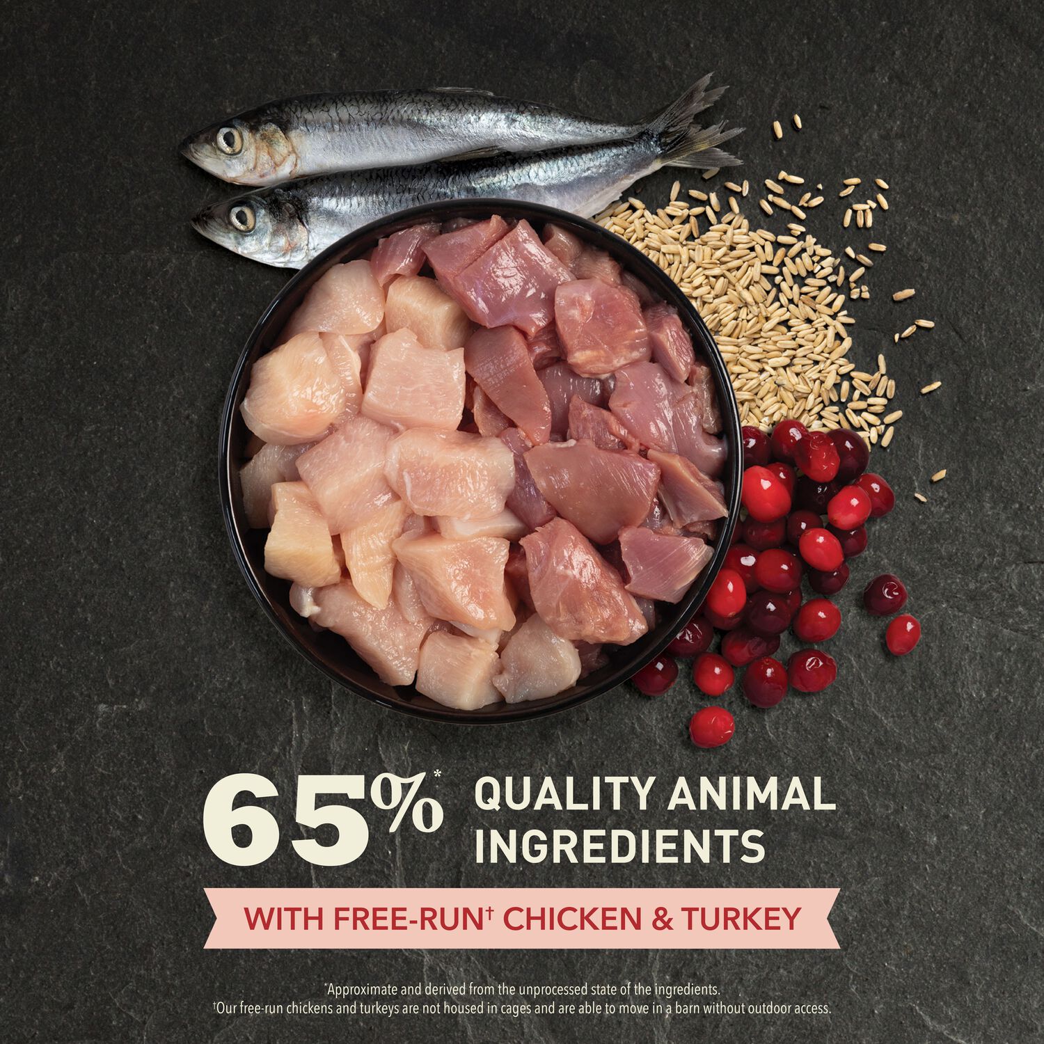 Acana Indoor Entr&eacute;e For Indoor Cats, Chicken Turkey Whole Herring & Rabbit Dry Cat Food, 4-Lb
