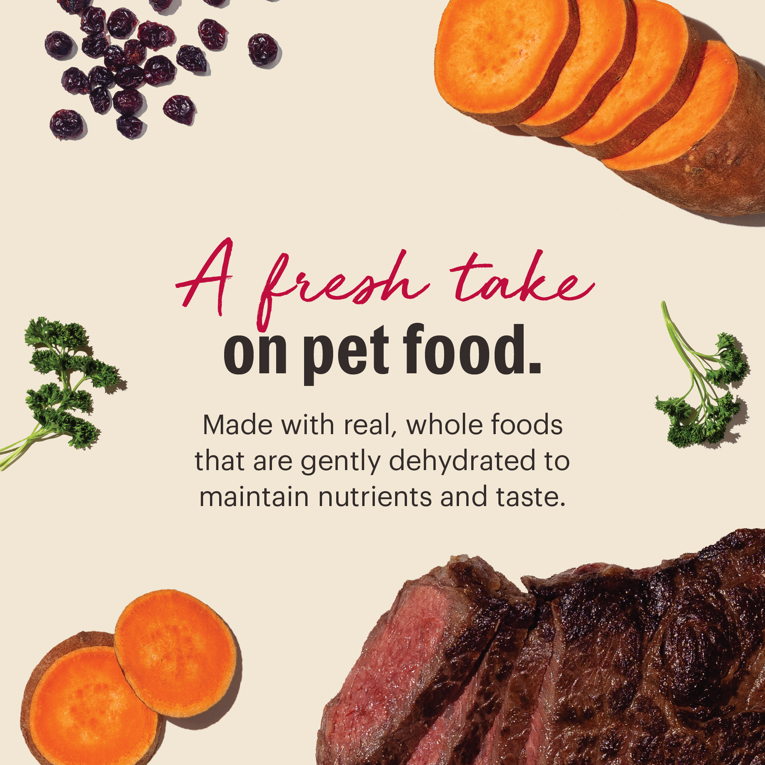 The Honest Kitchen Wholemade Grain Free Beef Recipe Dehydrated Dog Food, 7-Lb