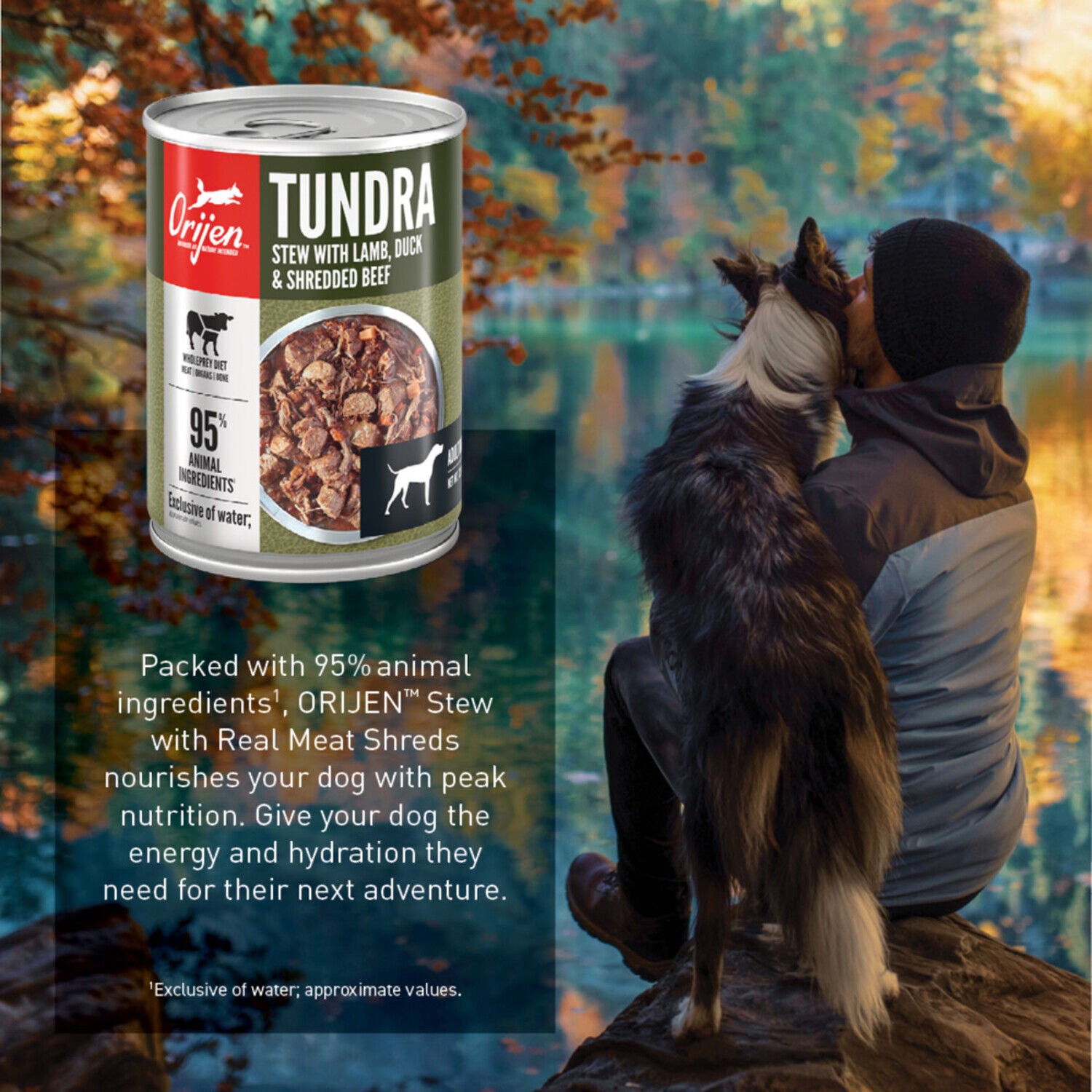 Orijen Real Meat Shreds Wet Dog Food, Tundra Stew Recipe, 12.8-Oz Cans