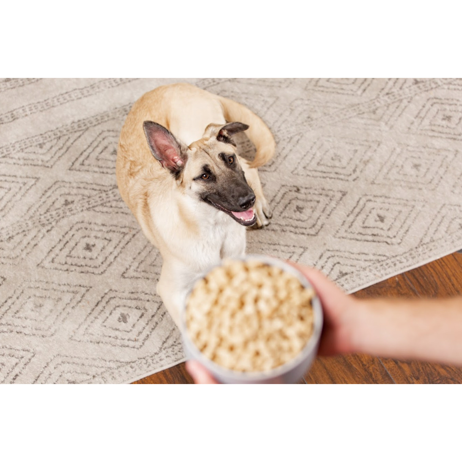 Dr. Marty Nature's Blend Active Vitality Freeze-Dried Raw Senior Dog Food, 48Oz
