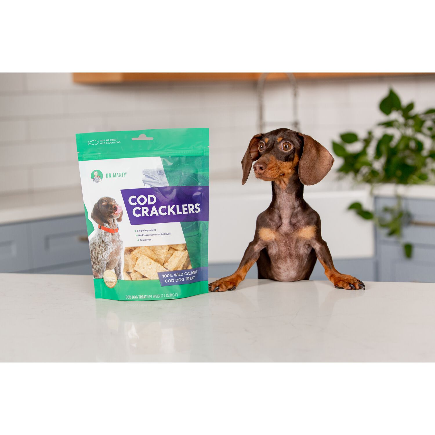 Dr. Marty Air-Dried Cod Cracklers Dog Treats, 4-Oz Bag