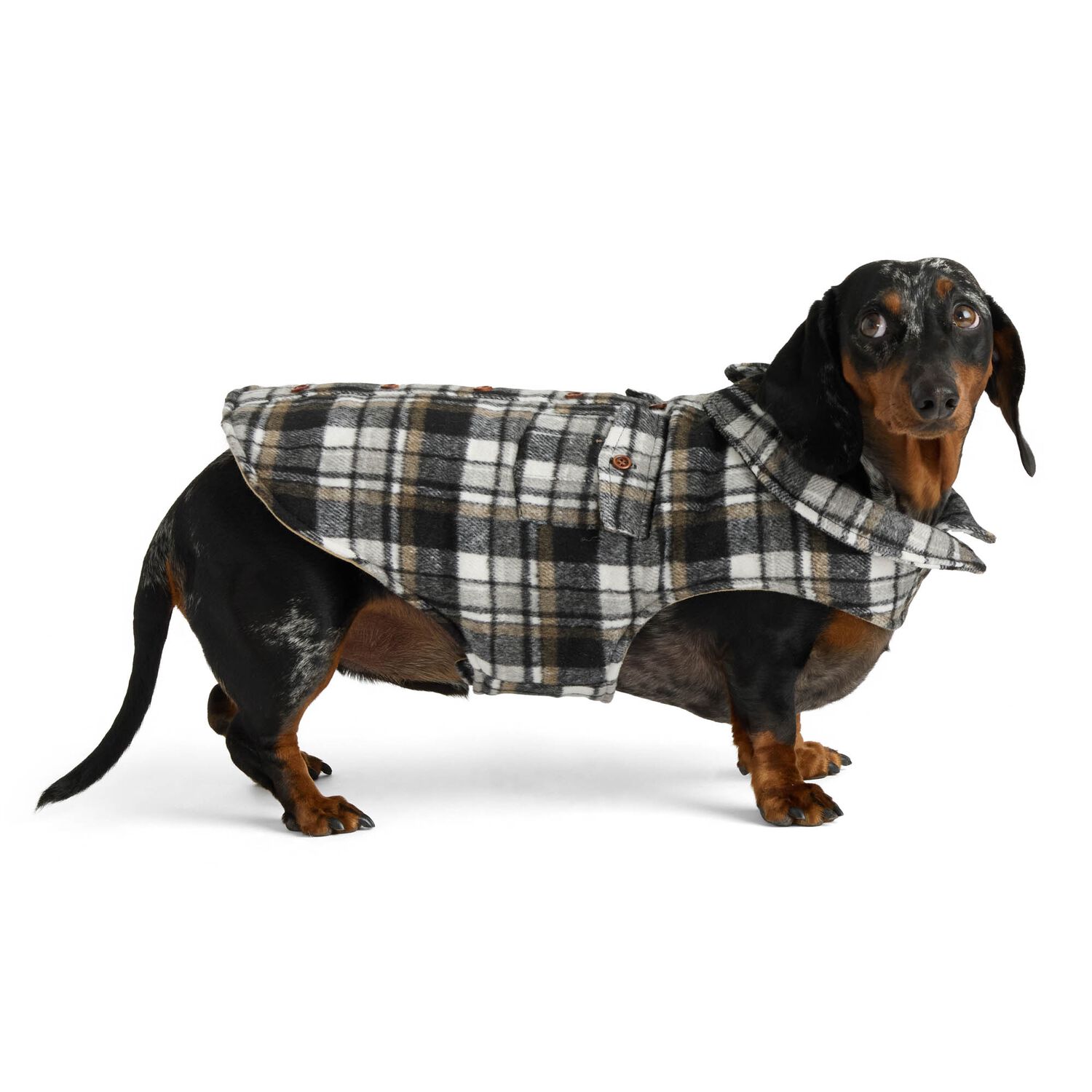 Aristopet Check Melton Plaid "Shacket" Dog Shirt-Jacket, Large
