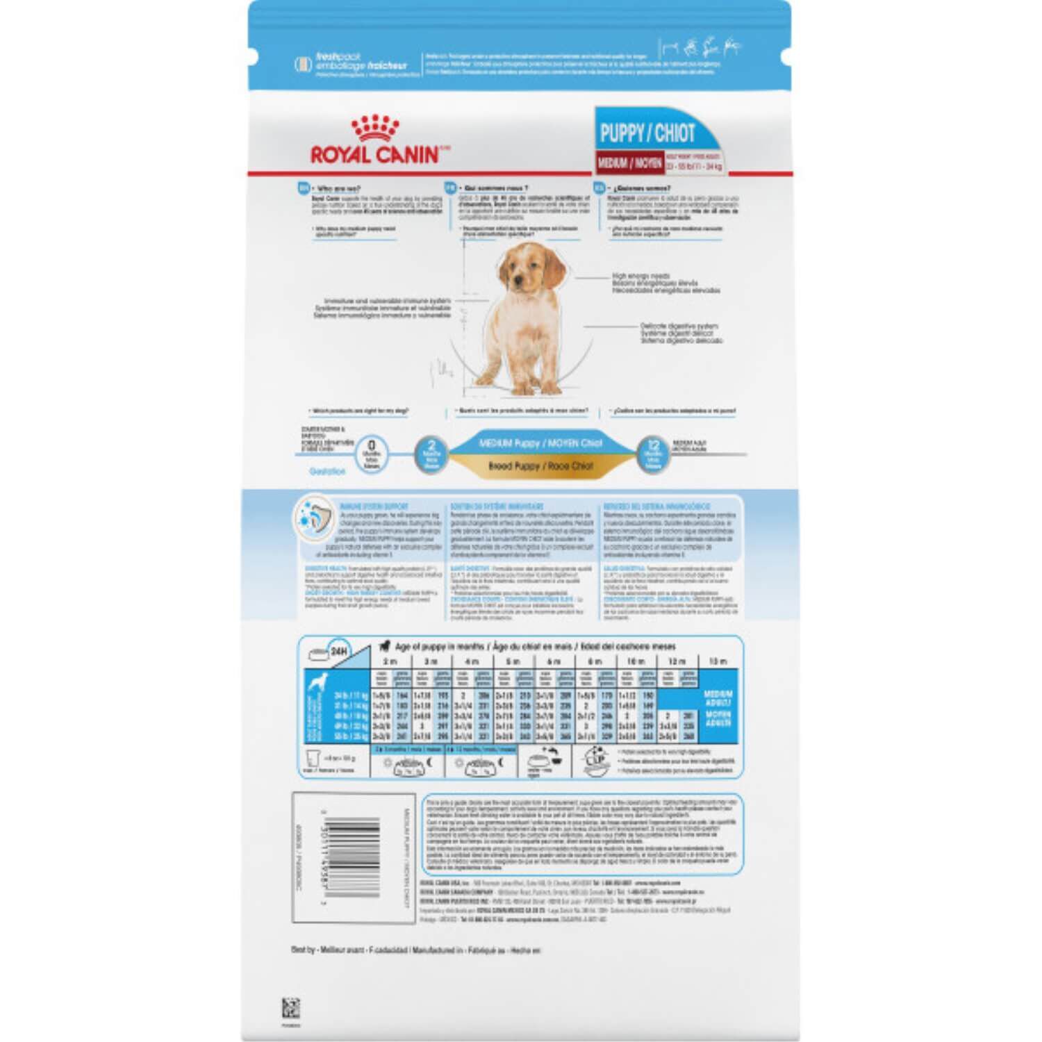Royal medium puppy new arrivals