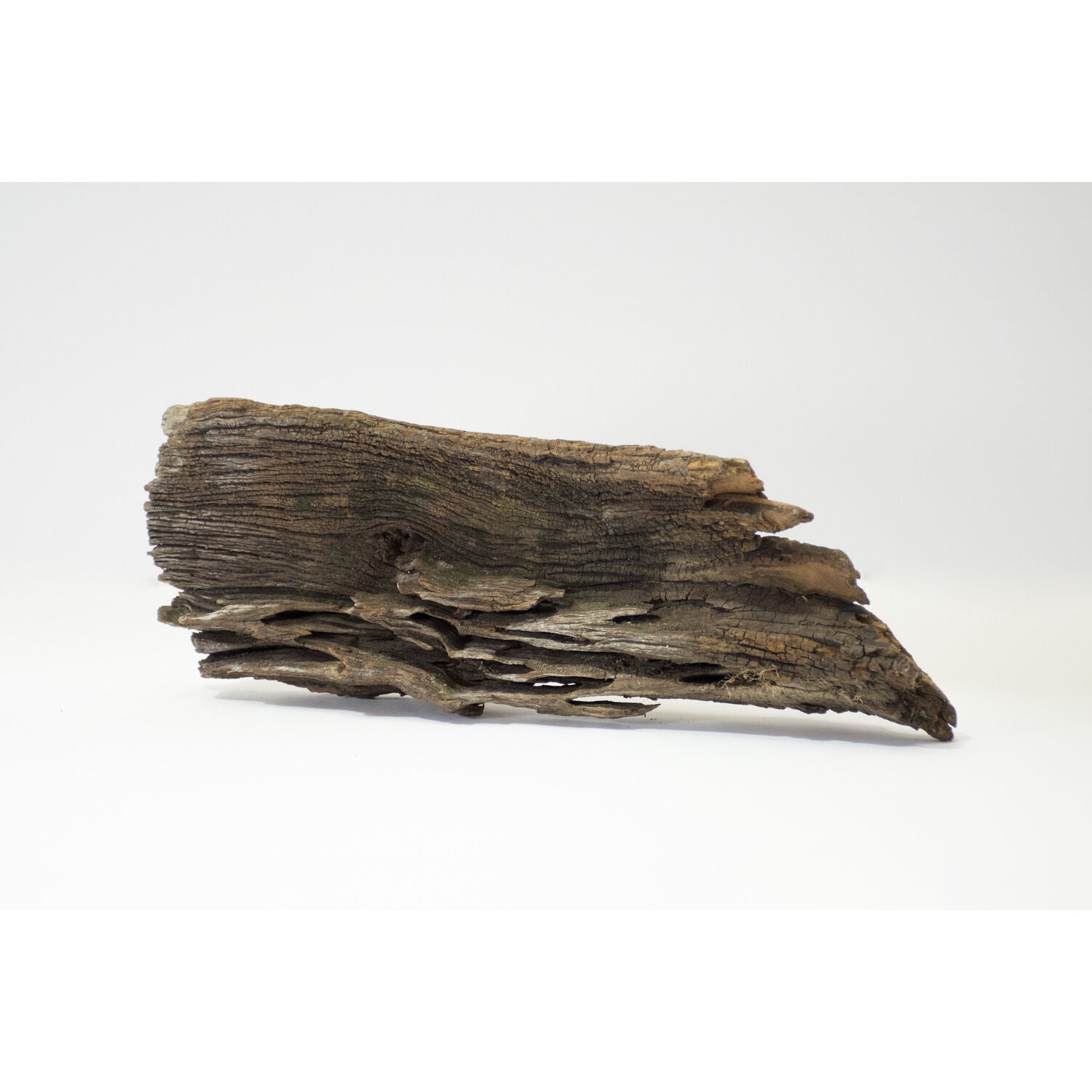 Gal&aacute;pagos Sinkable Driftwood Aquarium And Terrarium Decor, Natural, Medium 11-13"