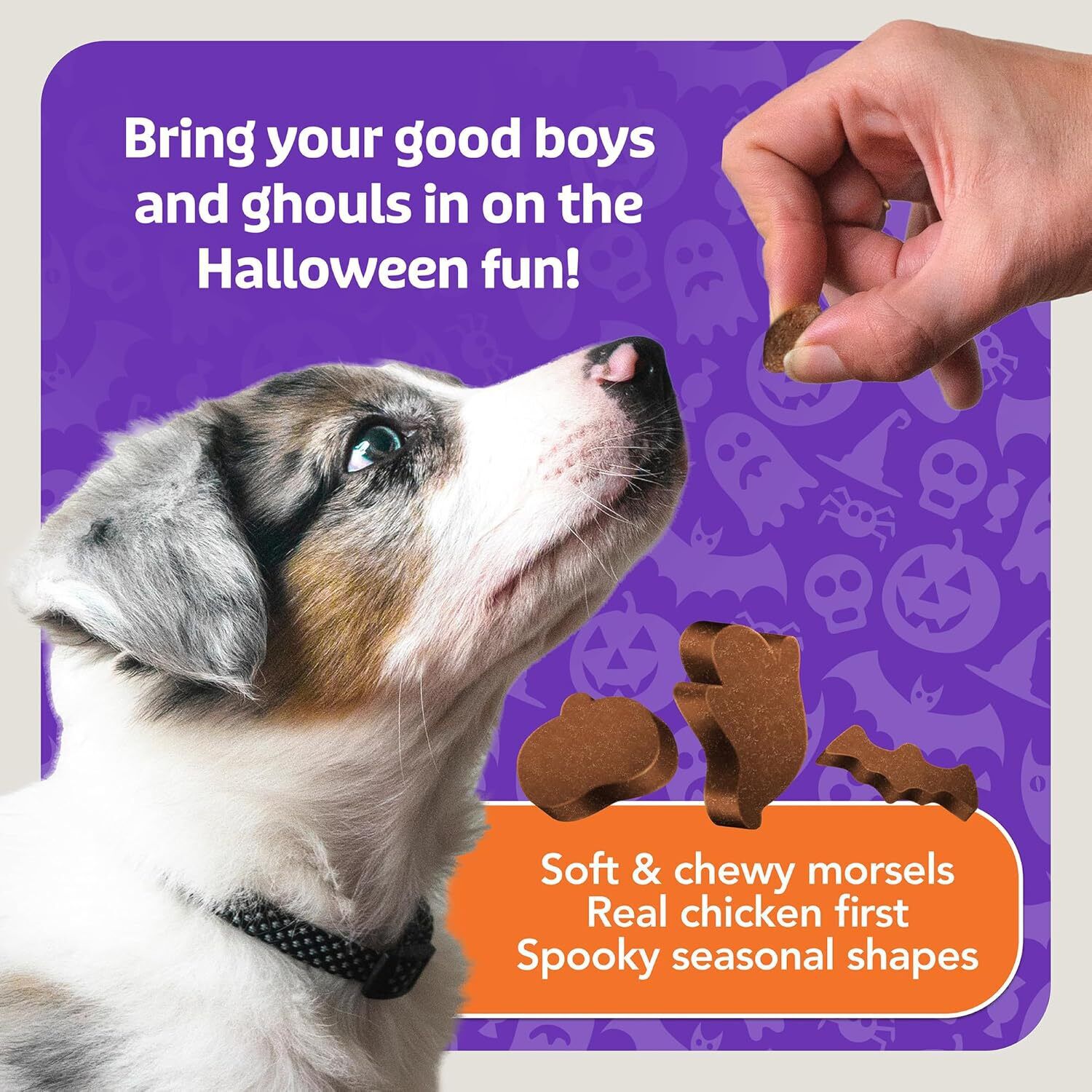 Blue Buffalo Boo Bits Soft & Chewy Halloween Dog Treats, Tasty Chicken Flavor, 4.5-Oz Bag