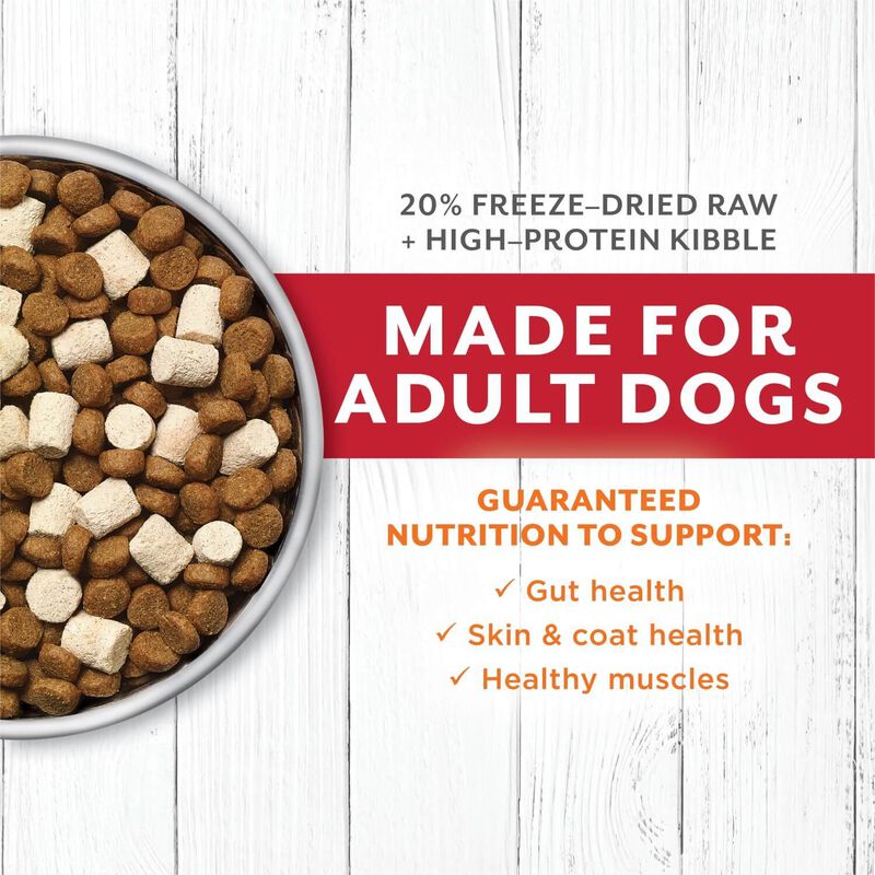 Instinct® Raw Longevity™ 20% Freeze Dried Raw Meal Blend Grain Free Recipe With Real Beef For Dogs image number 3