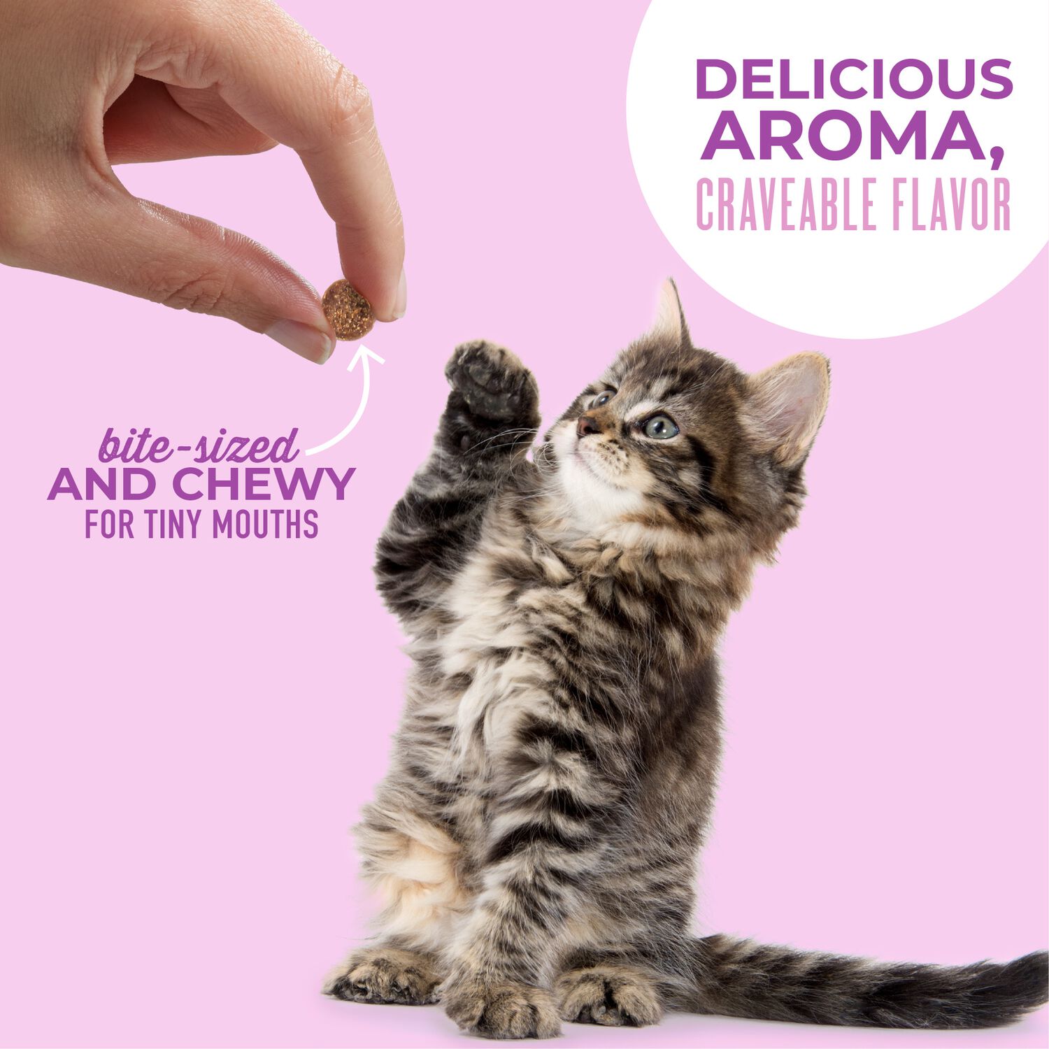 Tiki Cat Baby Grain-Free Soft & Chewy Treats For Kittens, Chicken & Tuna, 2-Oz Bag 8-Count