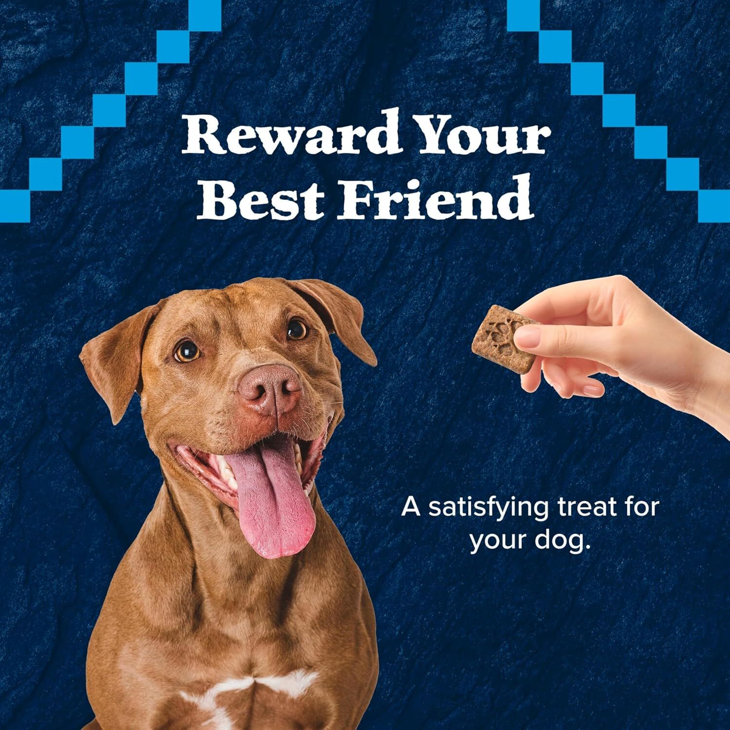 Blue Buffalo Wilderness Trail Treats Grain-Free Biscuits Duck Recipe Dog Treats, 10-Oz