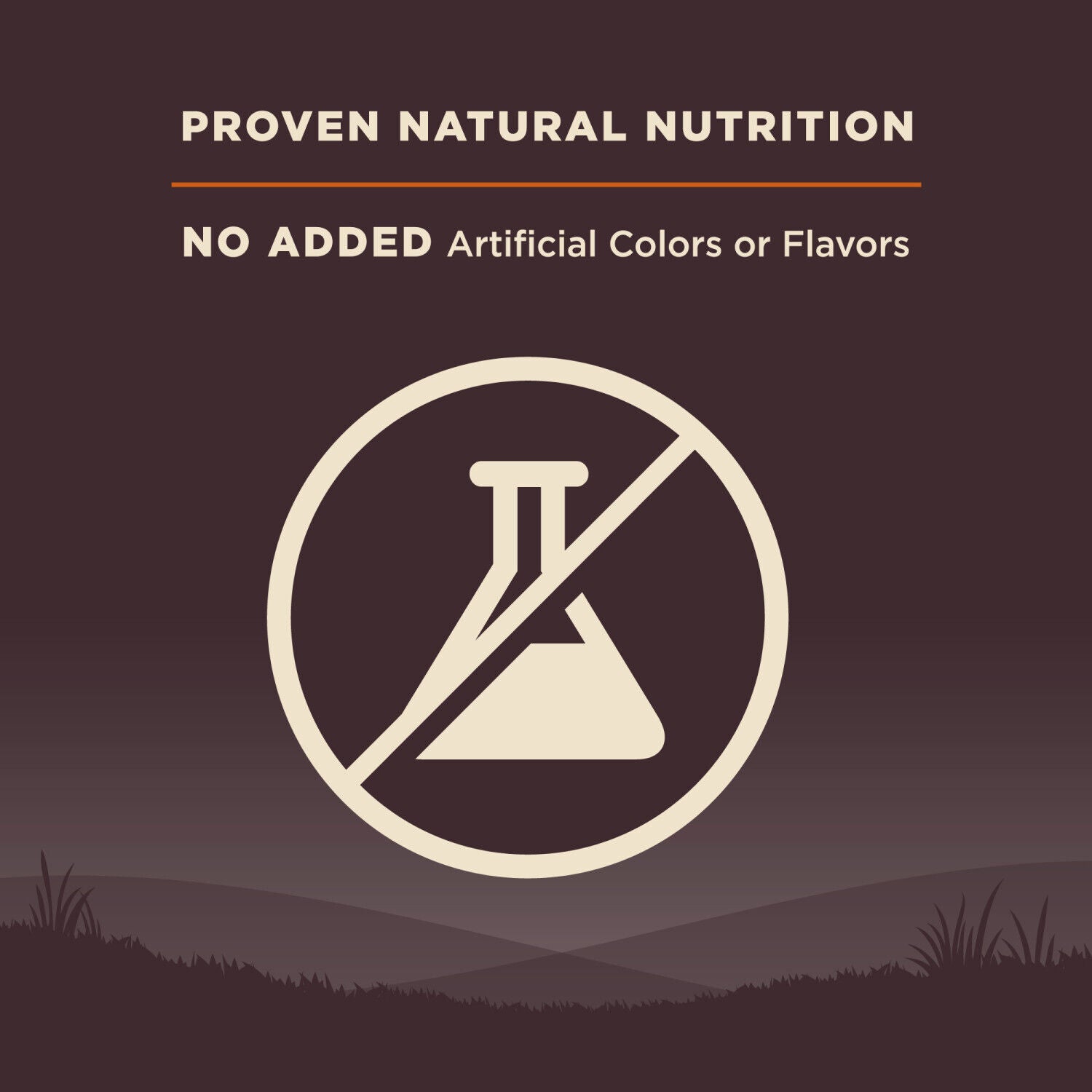 Wellness Core Natural Grain Free Dry Dog Food Large Breed Health Chicken & Turkey Recipe, 24-Pound Bag