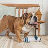 Gap Sock Water Bottle Cruncher Dog Toy