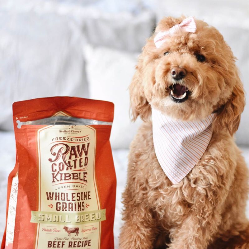 Raw Coated Wholesome Grain Beef Small Breed Recipe Dog Food image number 4