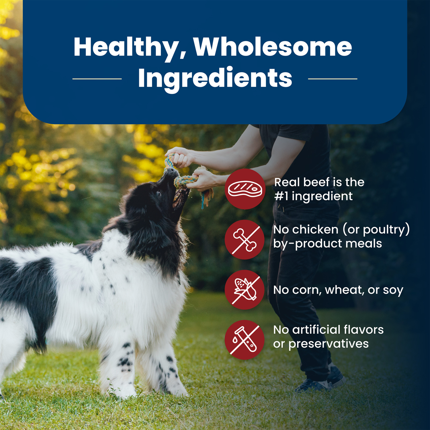 Blue Buffalo Life Protection Formula Beef & Brown Rice Recipe Adult Dry Dog Food, 30-Lb