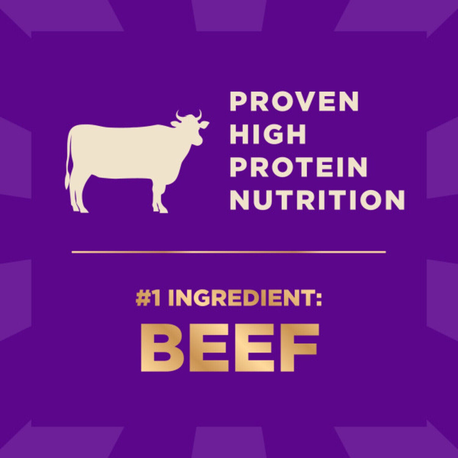 Wellness Core+ Dry Dog Food With Freeze-Dried Pieces, Wholesome Grains, High Protein, Natural Beef & Barley Recipe, 4-Lb