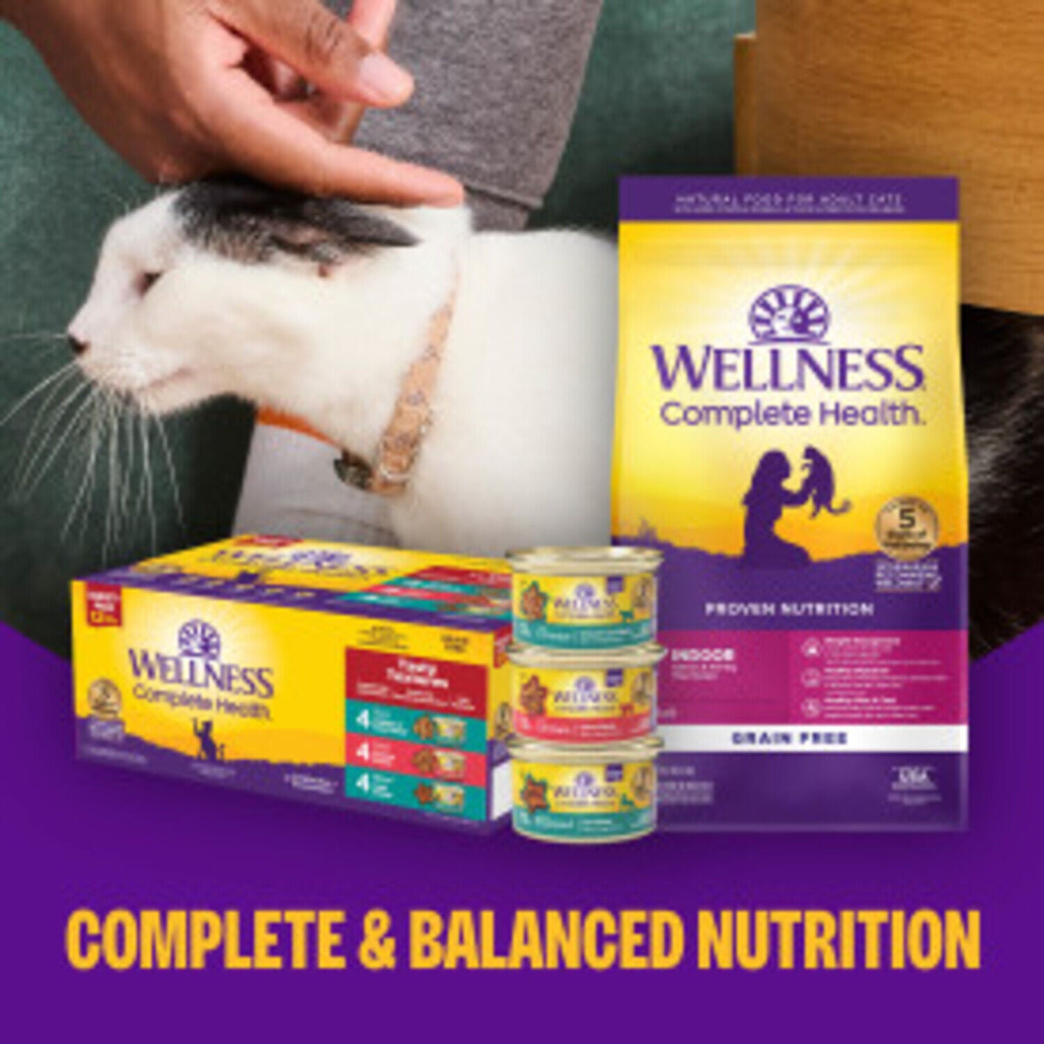 Wellness Healthy Indulgence Gravy Adult Wet Cat Food, Variety Pack, 3-Oz Pouch 8-Pack