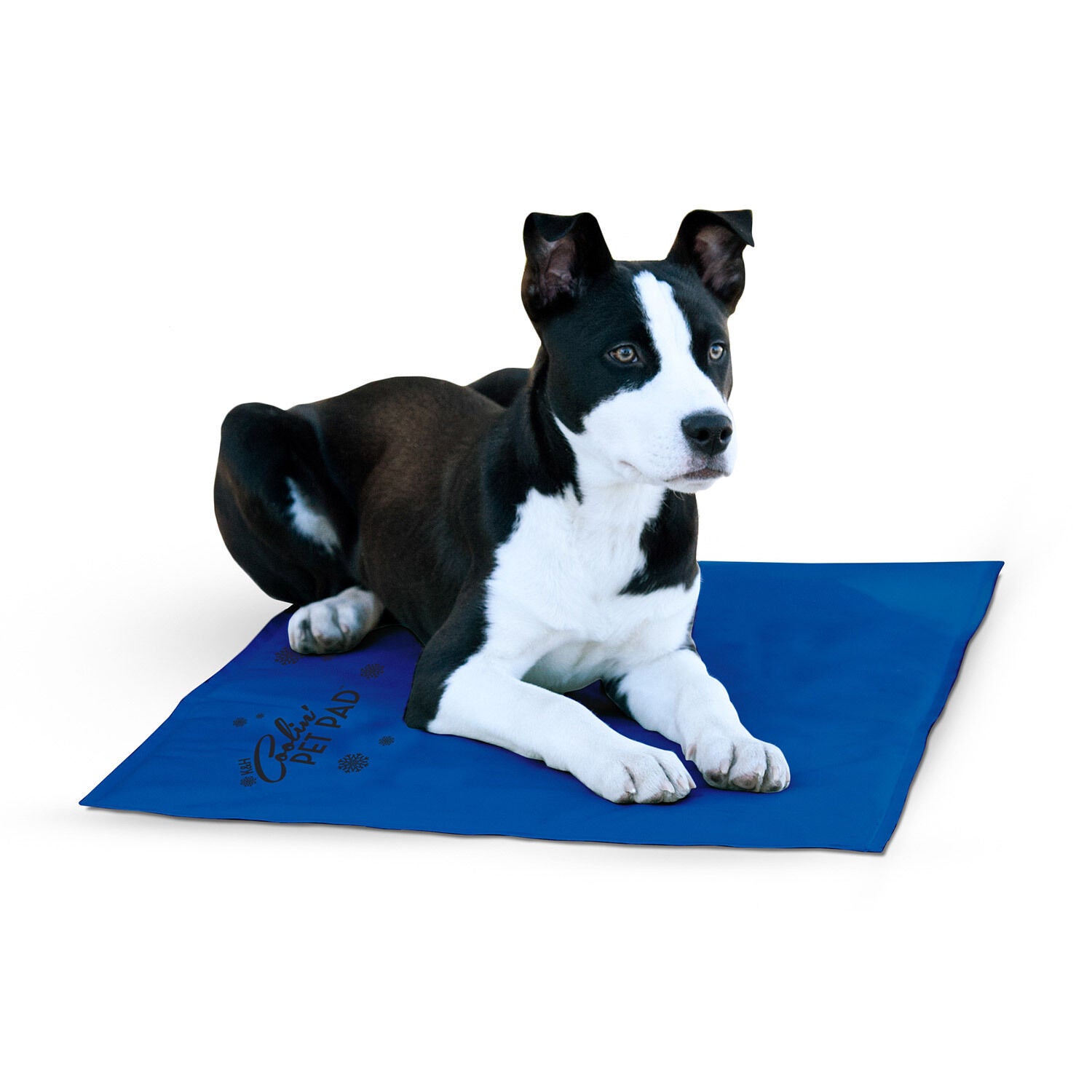 K&H Pet Products Coolin' Pet Pad Indoor Outdoor Cooling Dog Mat, Blue