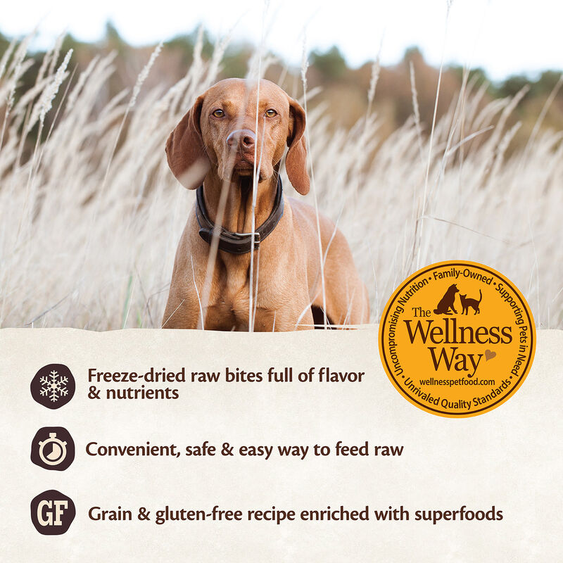 Wellness Core Rawrev Wild Game Duck, Lamb, Wild Boar & Rabbit With Freeze Dried Lamb Dog Food image number 7