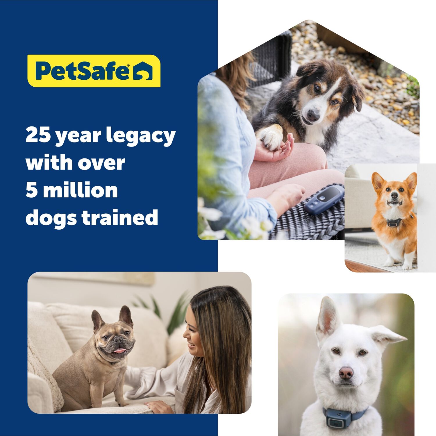 Petsafe Basic Dog Trainer With Remote &ndash; Waterproof Training Dog Collar, 300 Ft Range
