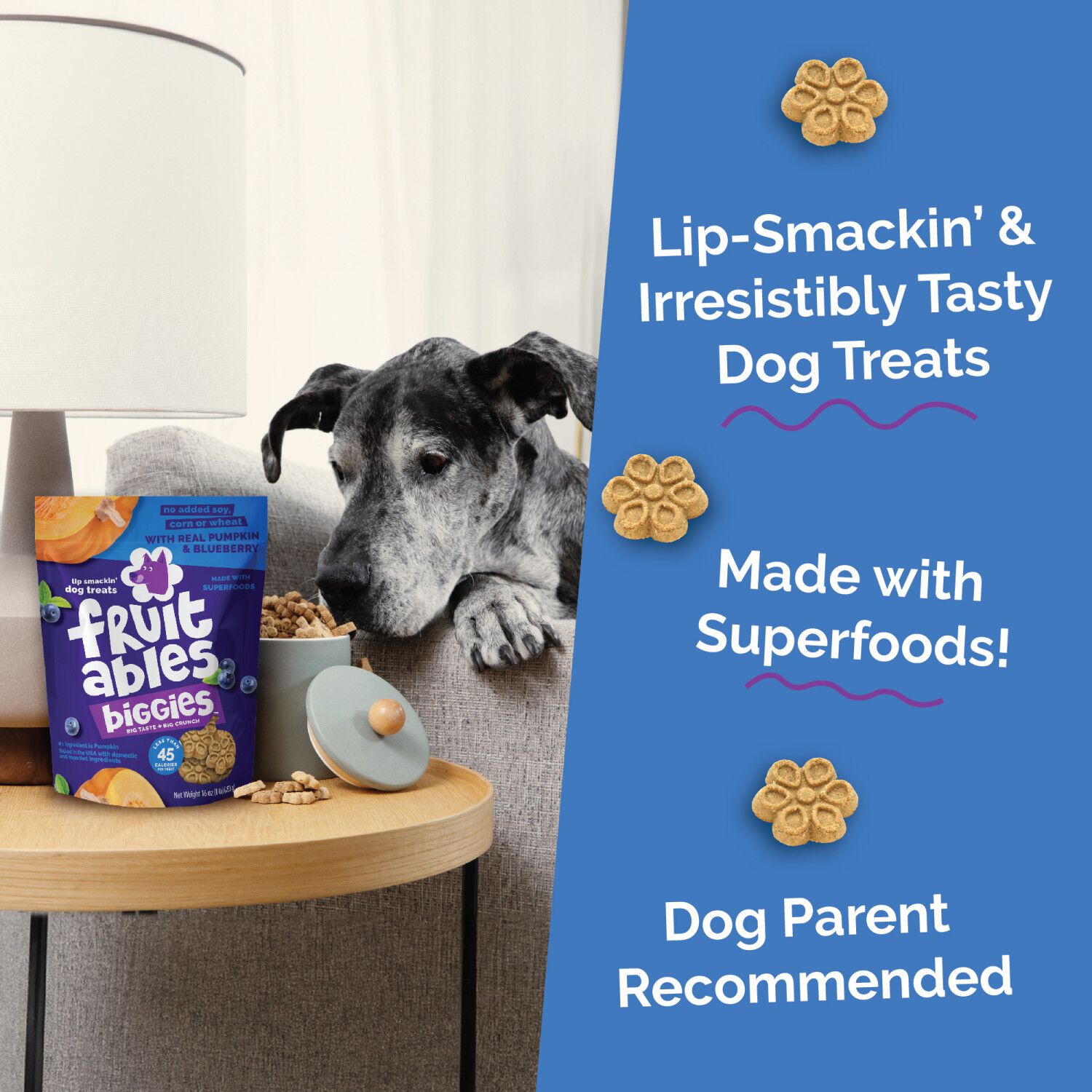 Fruitables Biggies Crunchy Biscuit Dog Treats, Pumpkin & Blueberry, 16-Oz