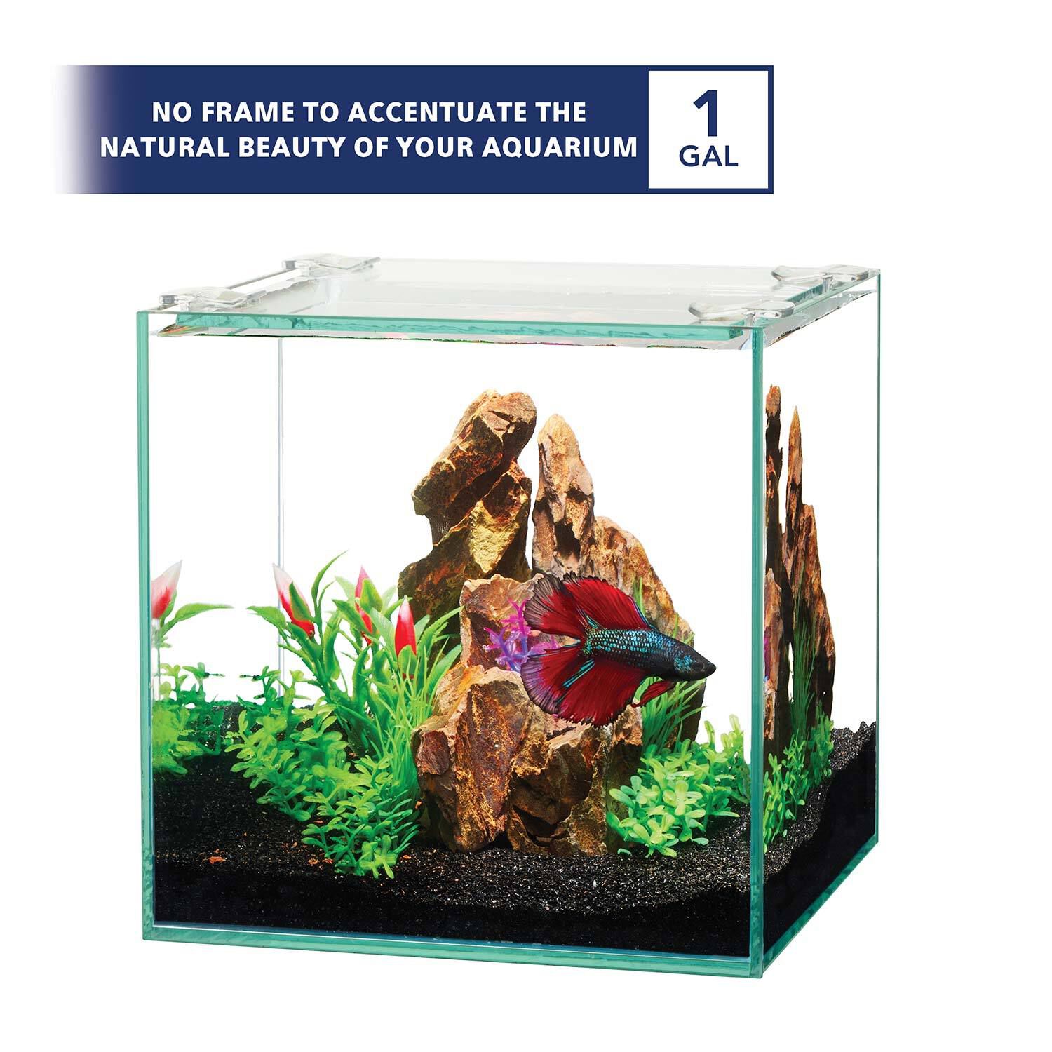 Aqueon Frameless Cube Aquarium 1 1gal Pet Supermarket