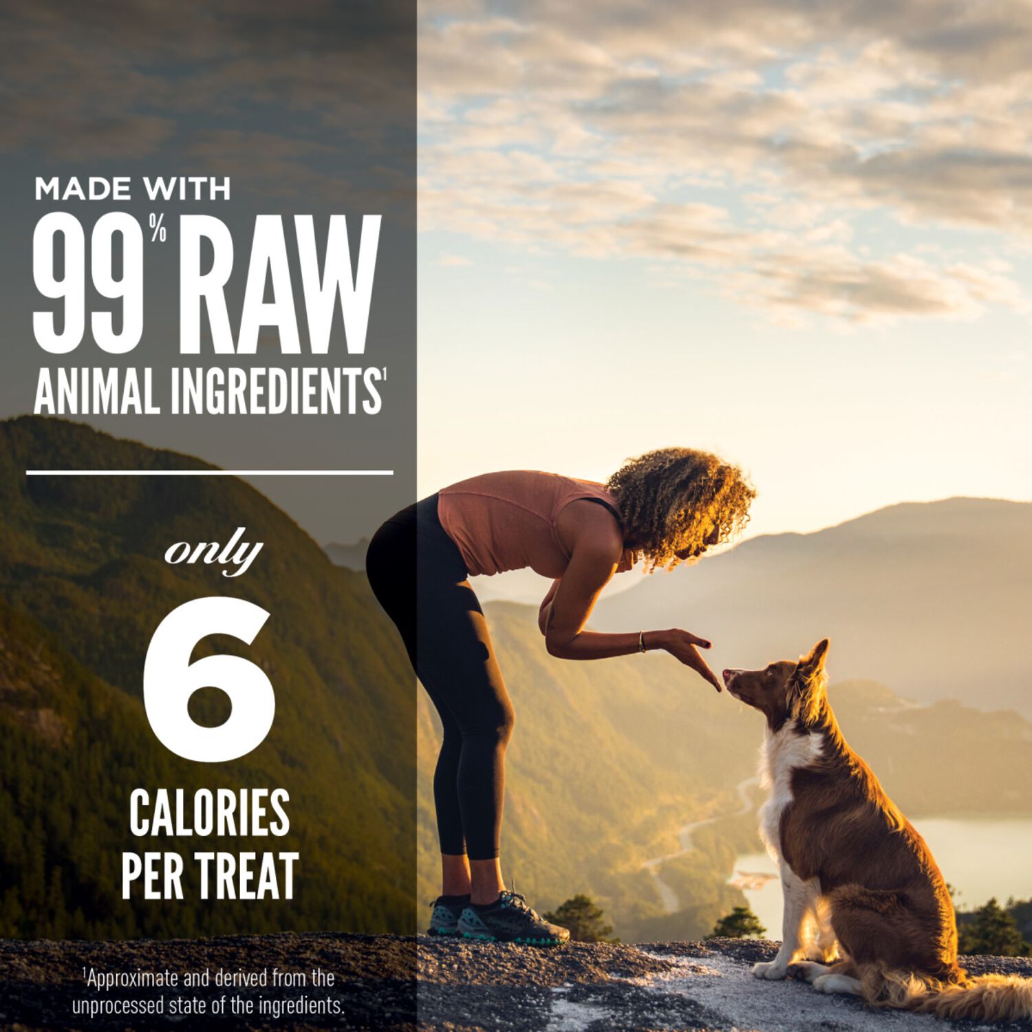 Orijen Regional Red Recipe Grain-Free High-Protein Freeze-Dried Dog Treats, 3.25-Oz Bag