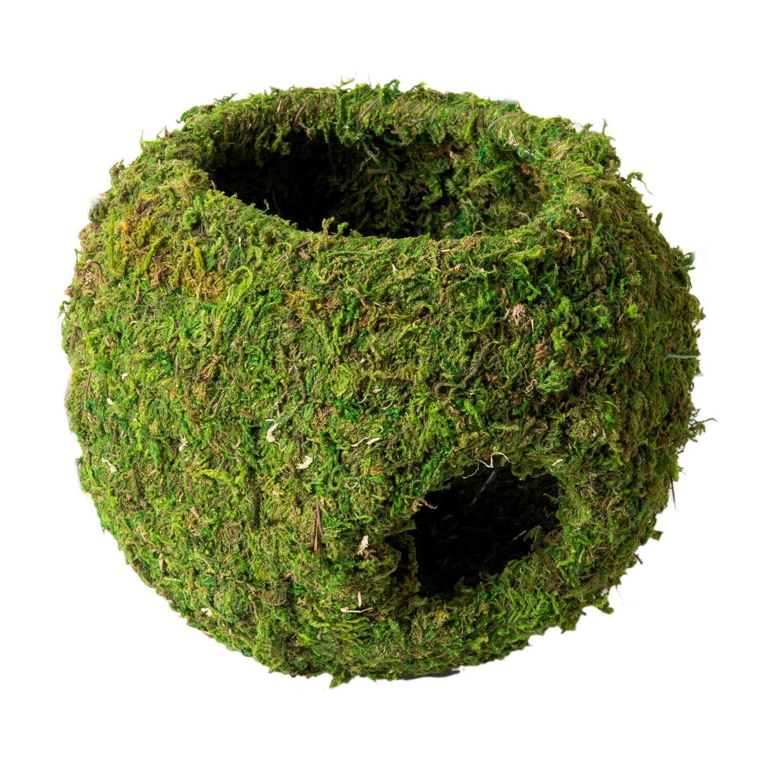 Gal&aacute;pagos Mossy Cave With Holes, Green, 8In Diameter