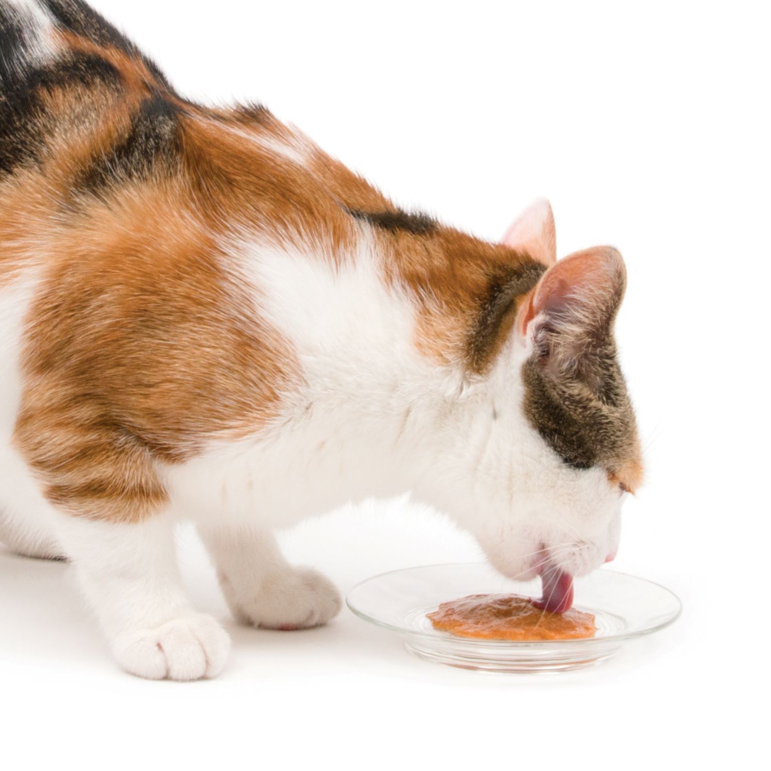 Catit Creamy Grain-Free Lickable Cat Treats, Salmon Recipe, 5-0.5Oz Tubes