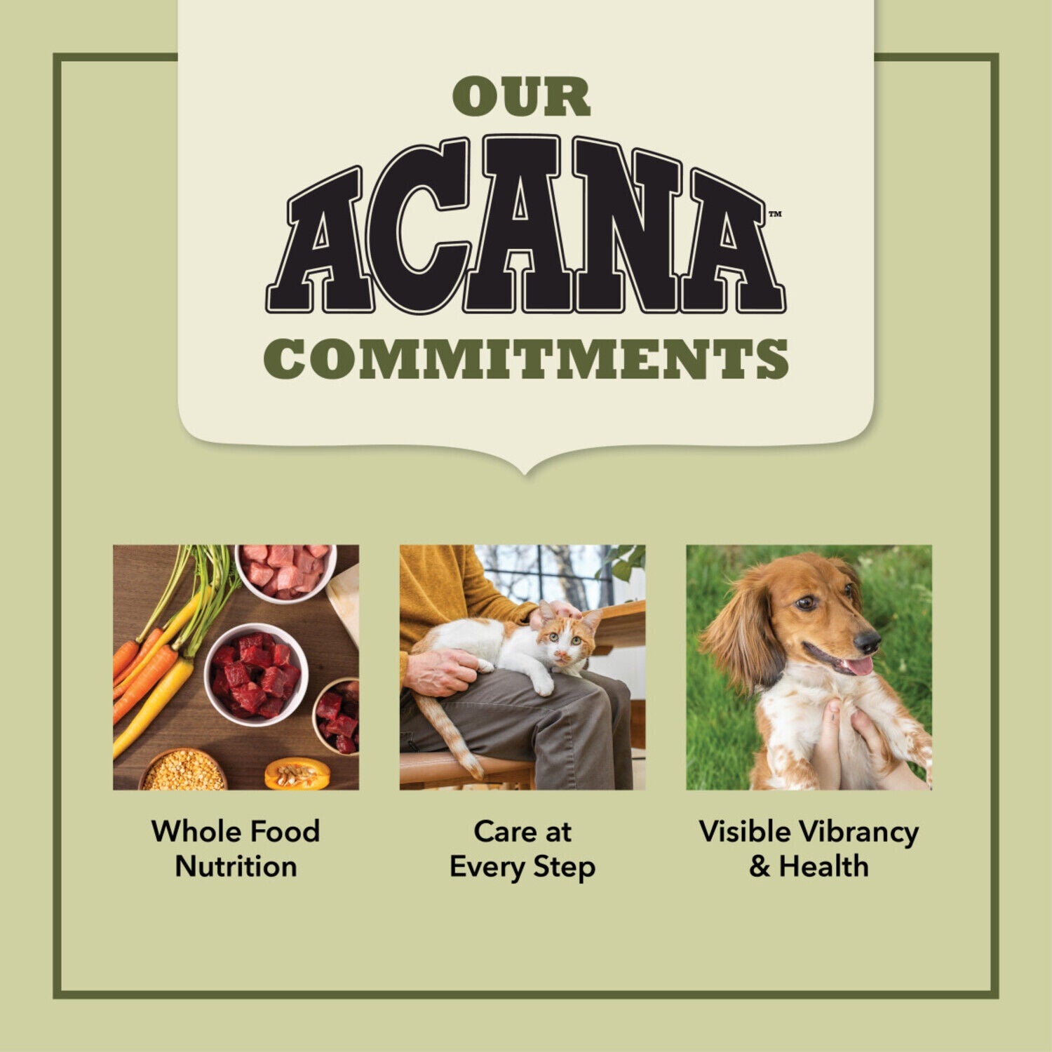 Acana Premium Pate Wet Cat Food In Bone Broth; Beef, Chicken & Tuna Recipe, 3-Oz Pack Of 24
