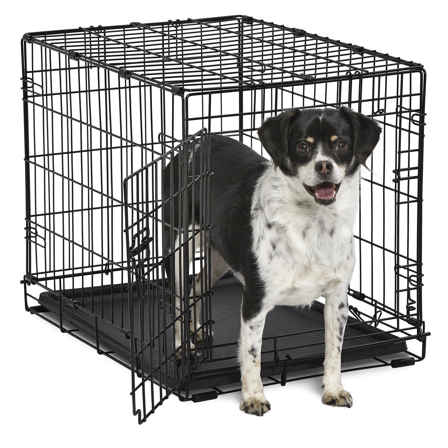 Pet supermarket dog crates clearance