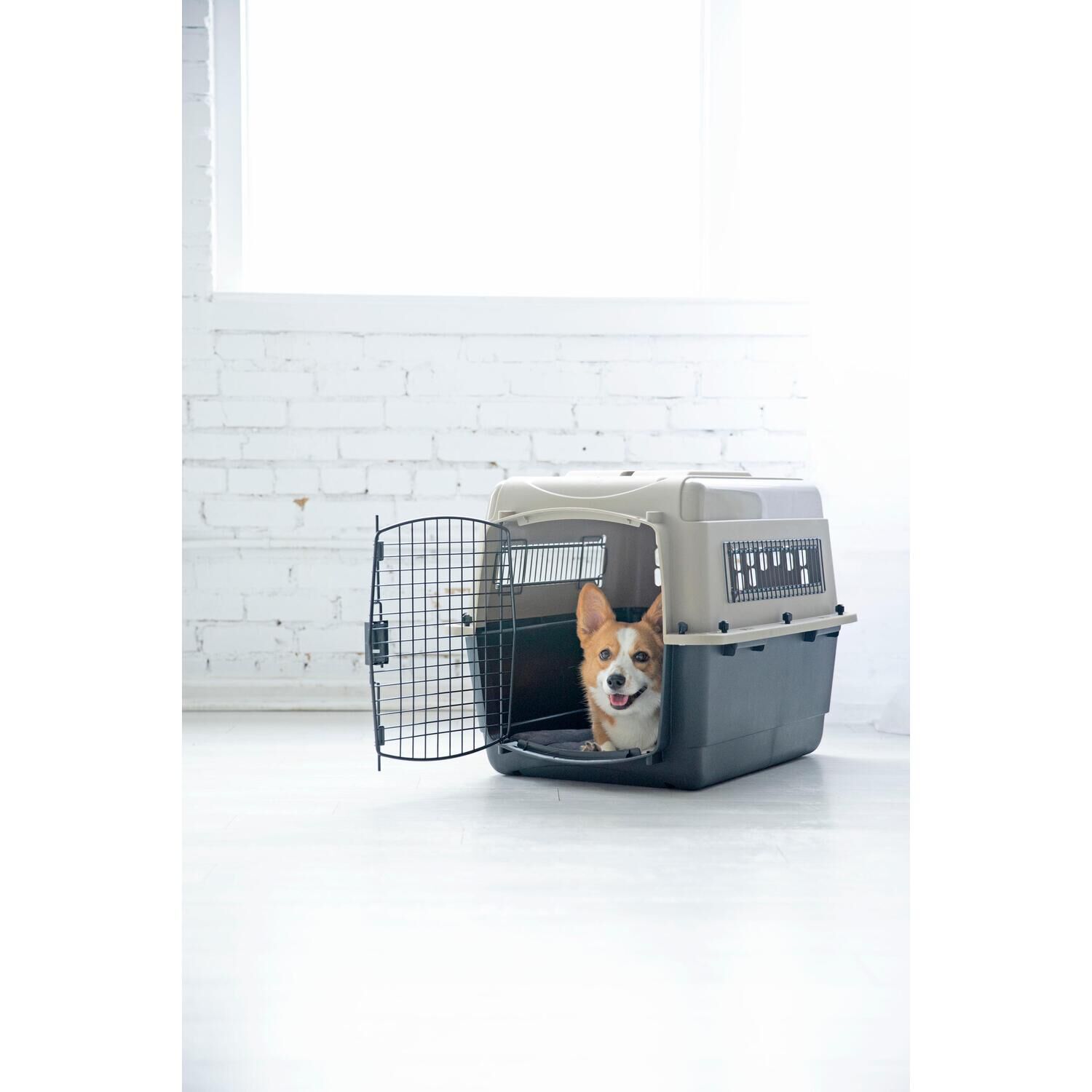 Petmate Ultra Vari Dog Kennel, 28" For 25-30 Lb Dogs