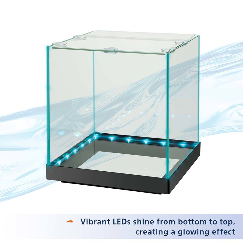 Aqueon Edgelit Rimless Cube Glass Aquariums Size 3 3gal