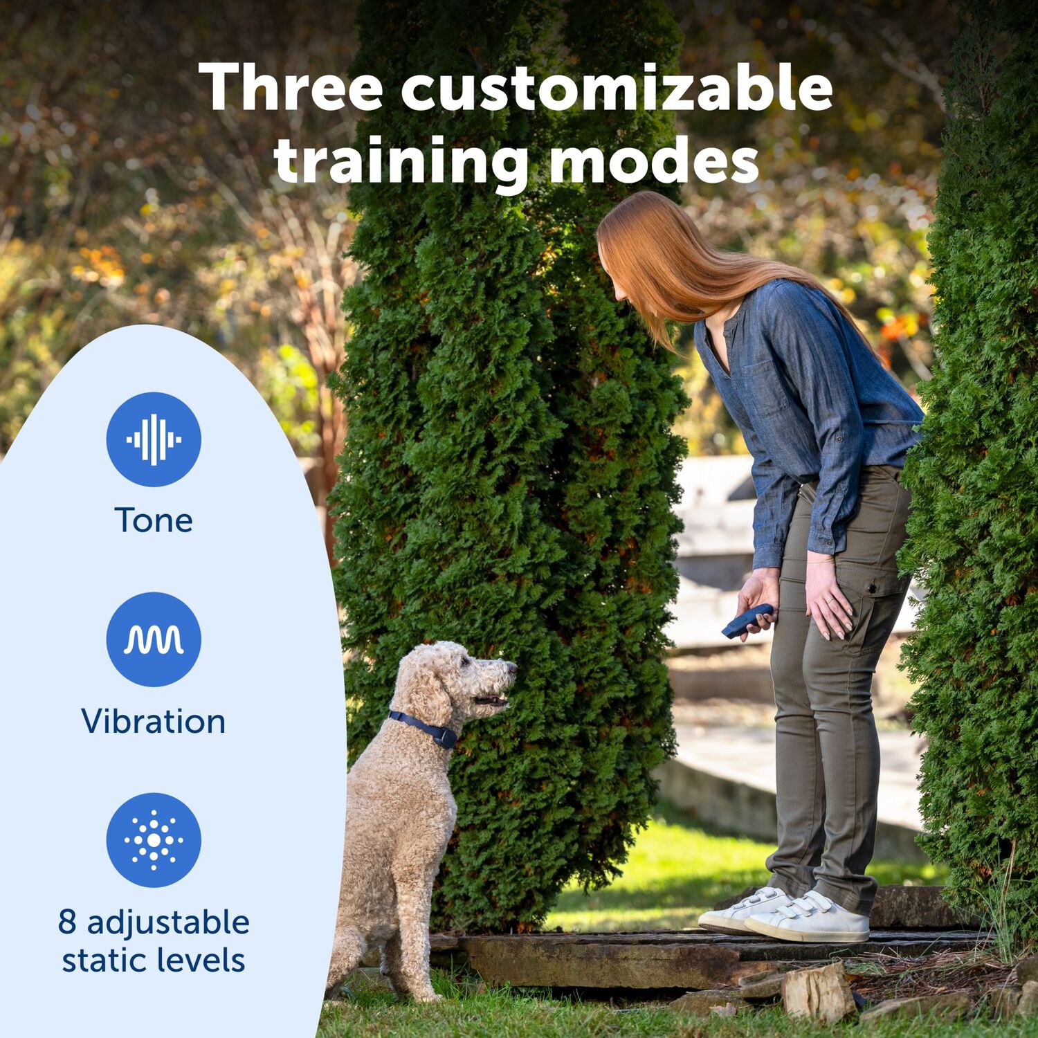 Petsafe Basic Dog Trainer With Remote &ndash; Waterproof Training Dog Collar, 300 Ft Range