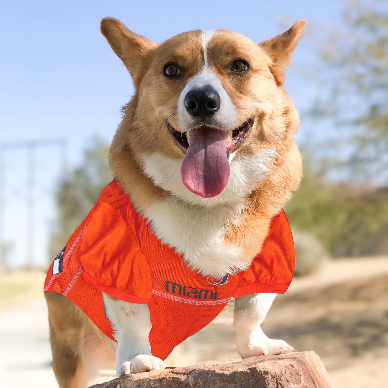Pets First University Of Miami Hurricanes Mesh Dog Jersey, Extra Large