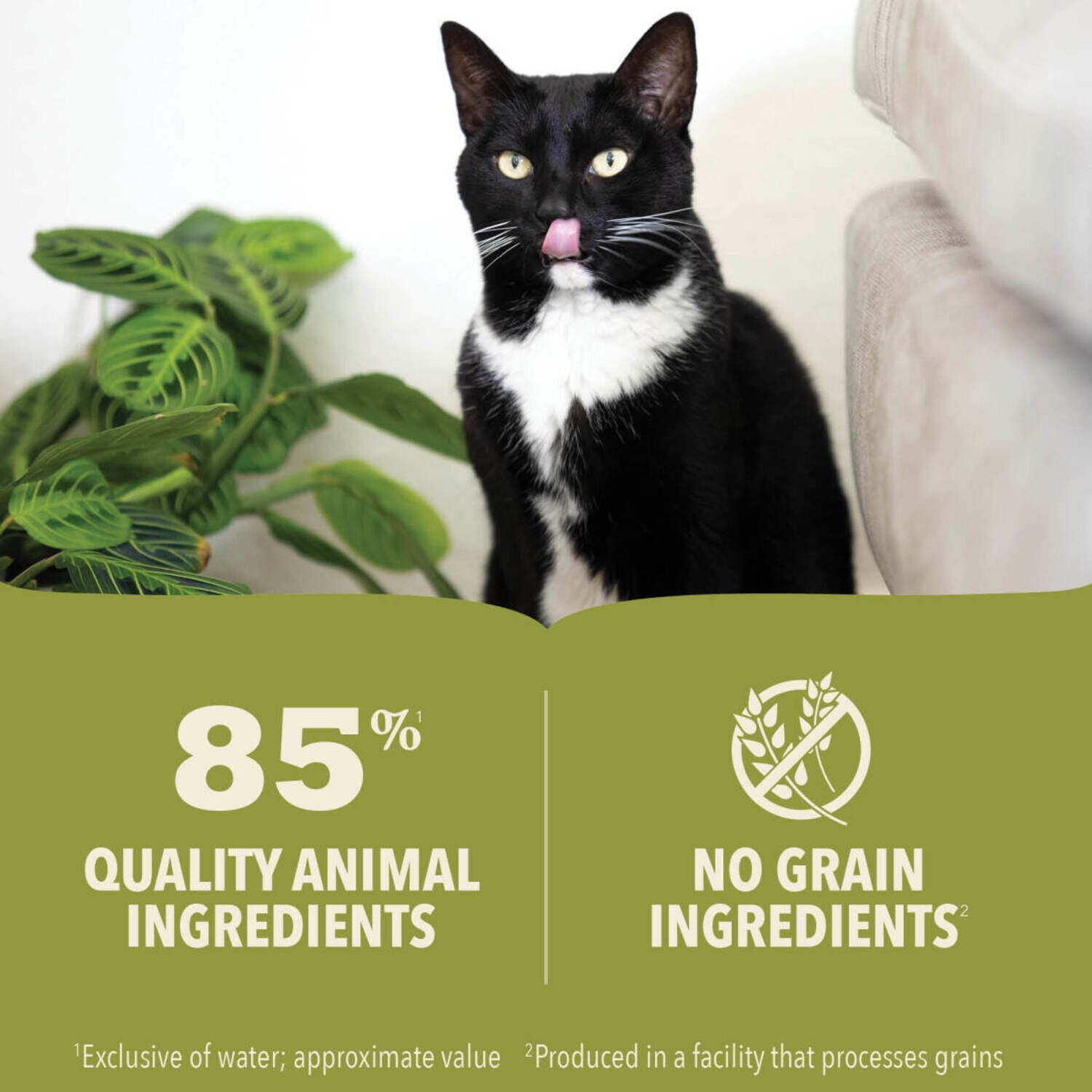 Acana Premium Pate Wet Cat Food In Bone Broth; Beef, Chicken & Tuna Recipe, 3-Oz Pack Of 24
