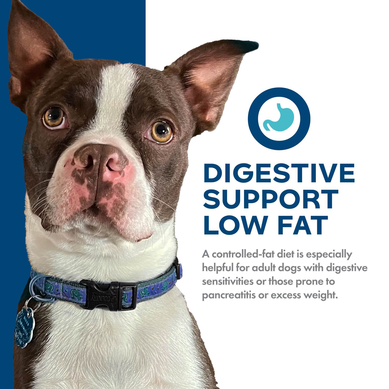 Fromm Nutritionals Digestive Support Low Fat Chicken & Oatmeal Dry Dog Food, 12-Lb Bag